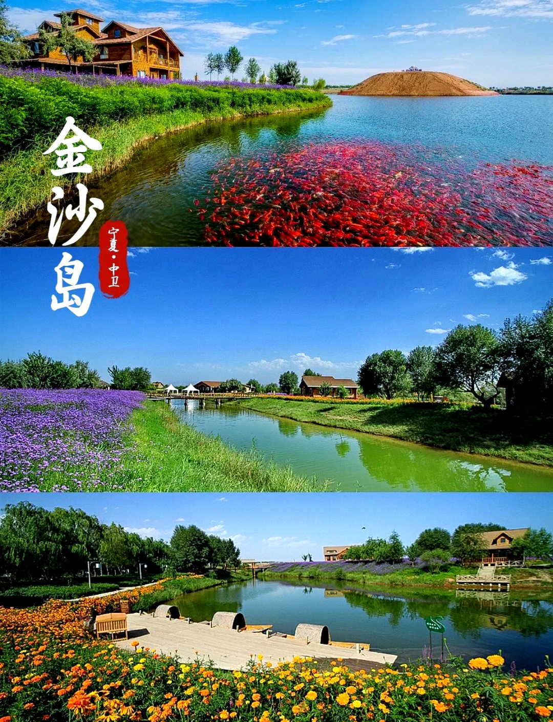 🌊金沙岛｜沙漠中的江南绿洲