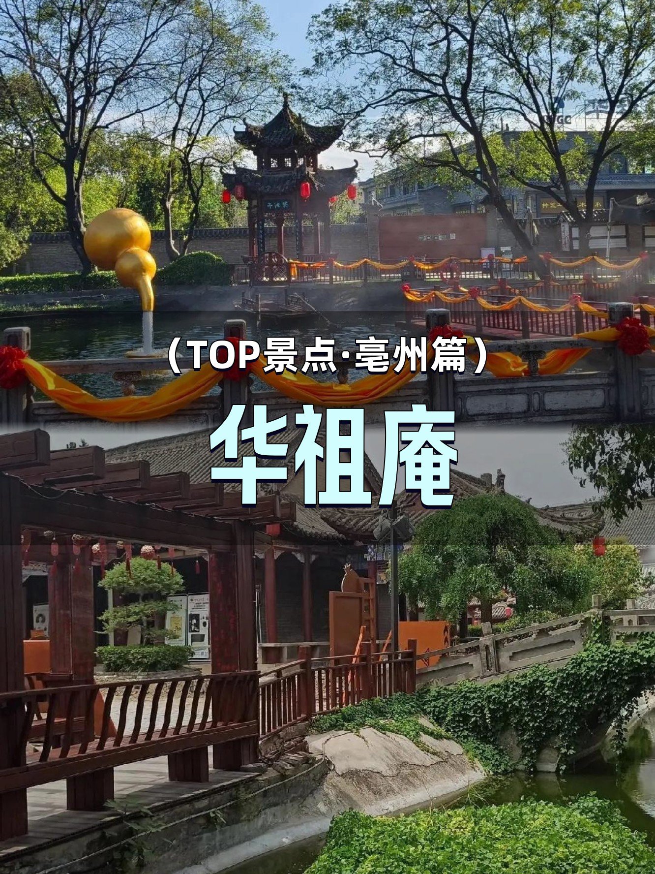 🌿华祖庵｜药香满满的神医故里