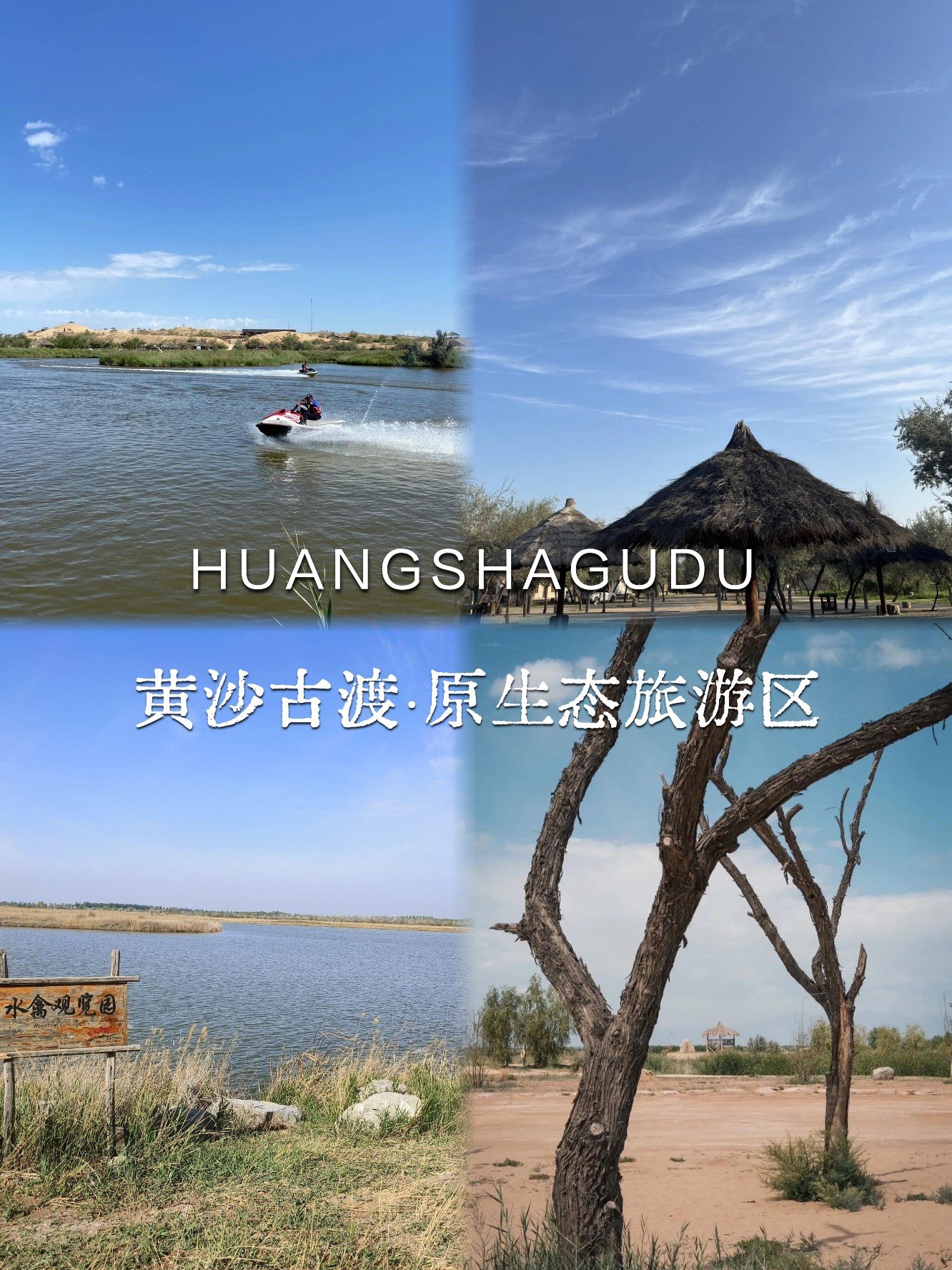 🌅黄沙古渡｜黄河边的千年古渡🐫