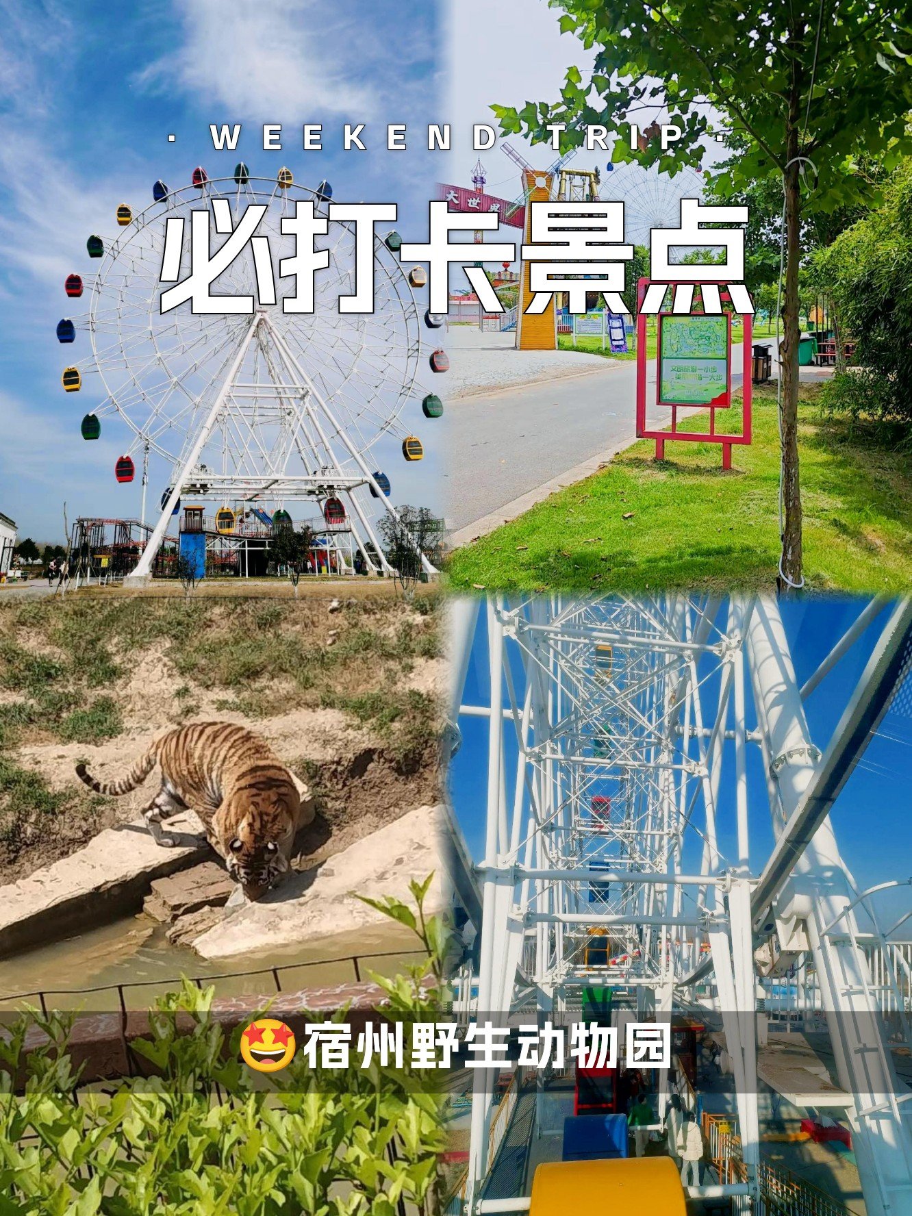 宿州野生动物园🐼｜皖北最大亲子动物乐园