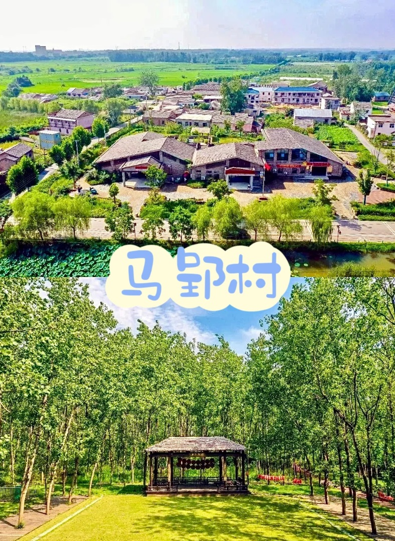 马郢田园乡村｜亲子农耕体验文艺乡村宝藏地🌱