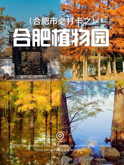 合肥植物园｜10 元逛遍四季花海拍照天花板🌸