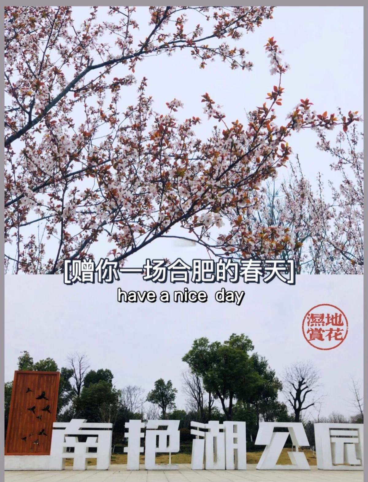 南艳湖公园｜经开区超大城市湿地亲子科普天堂🦆