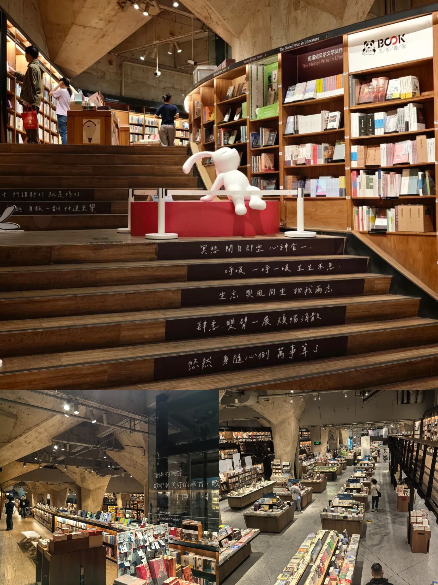 作为一个社恐，我最喜欢的地方是书店📚