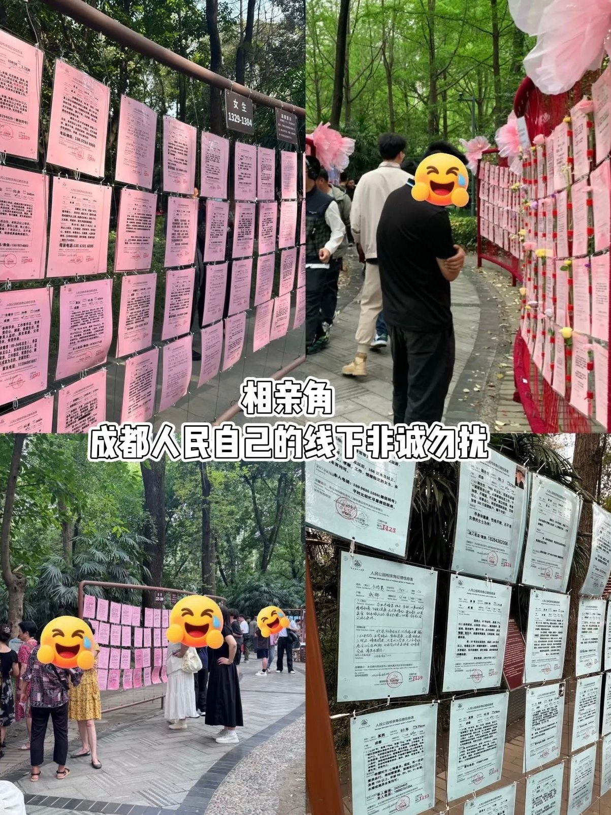 原来最珍贵的快乐都这么便宜 🍧