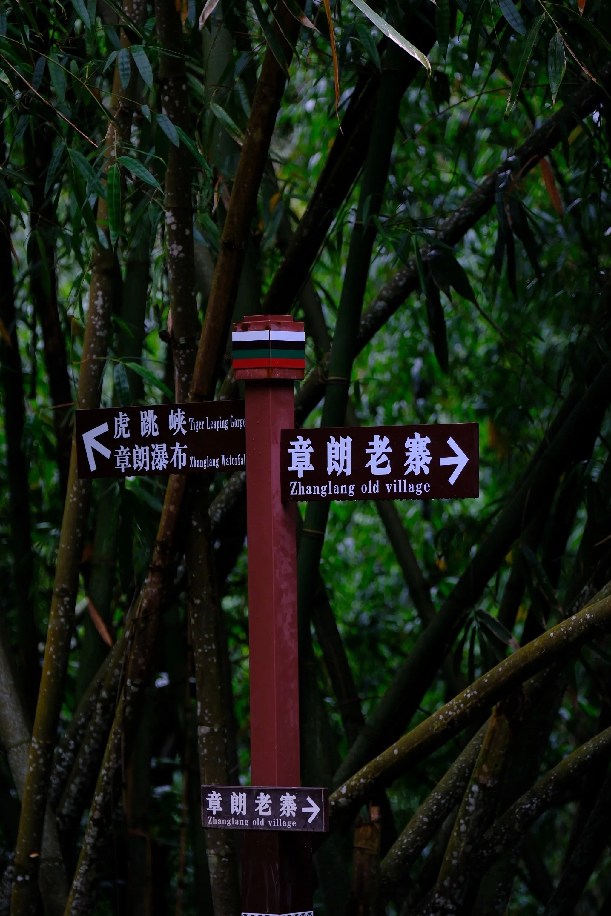 开了两个半小时烂路，就为了去这个千年布朗族古寨喝一口最正宗的普洱茶🍵