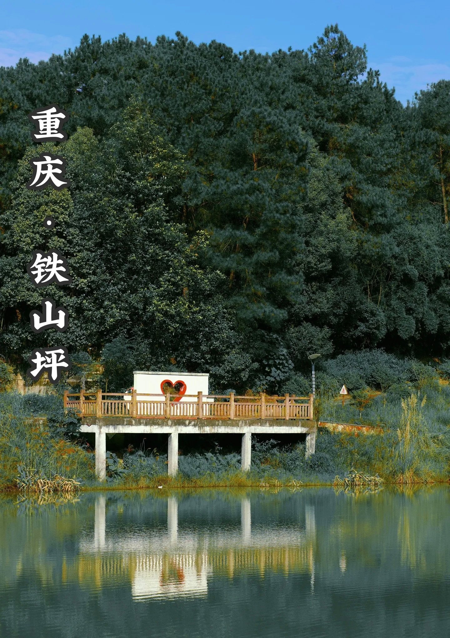 为了这盘花椒鸡，我每周开车去铁山坪！麻到嘴唇发抖还想夹