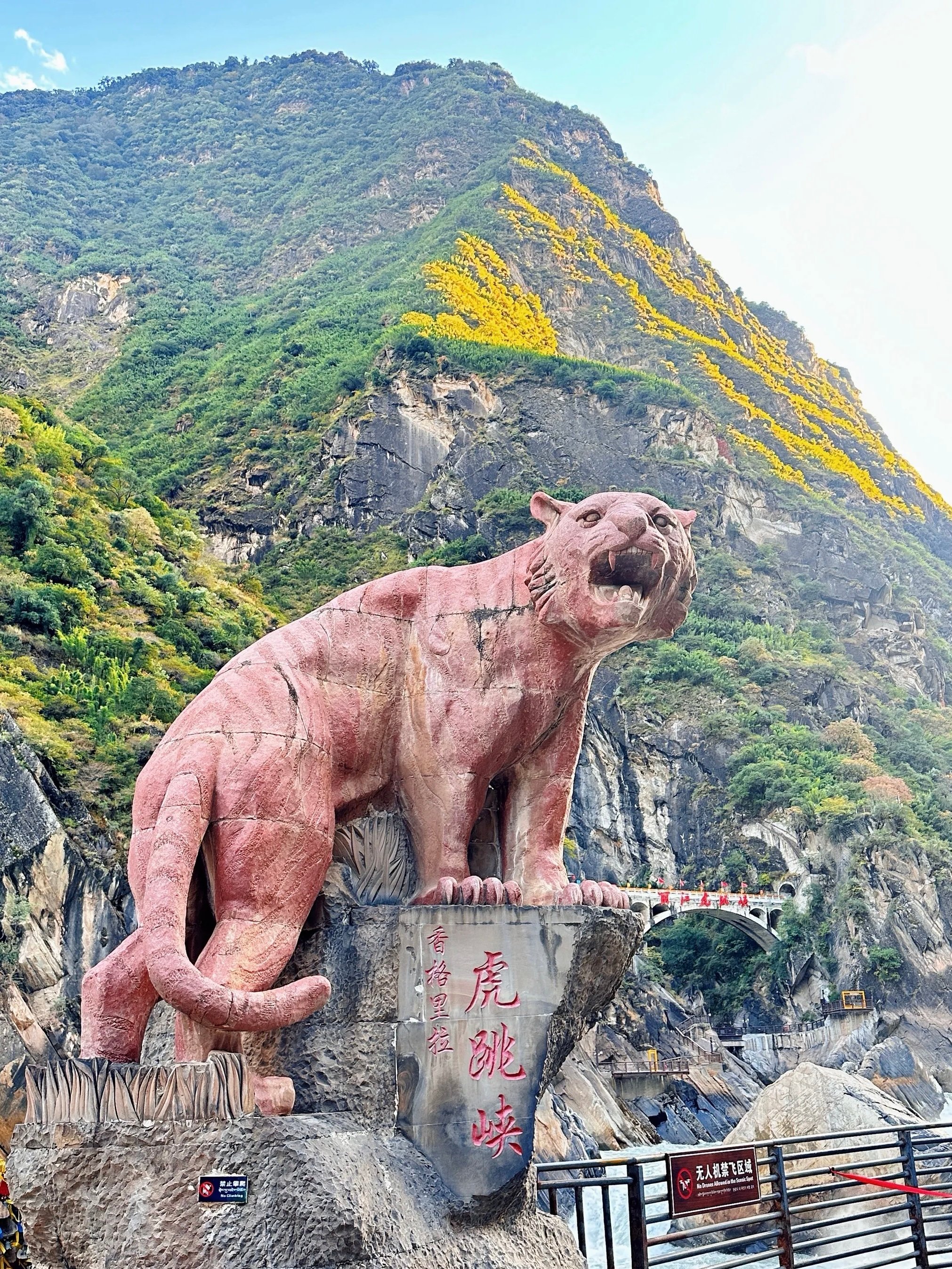 站在峡谷边听着金沙江的咆哮，我突然明白什么叫"人类太渺小了"