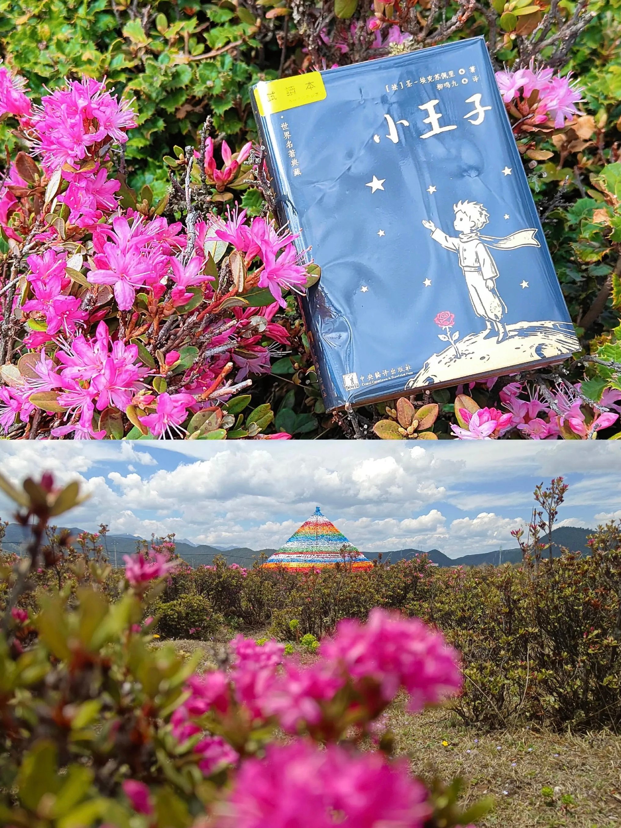 不用买门票，公路边就能看到的红色海洋，我差点就错过了