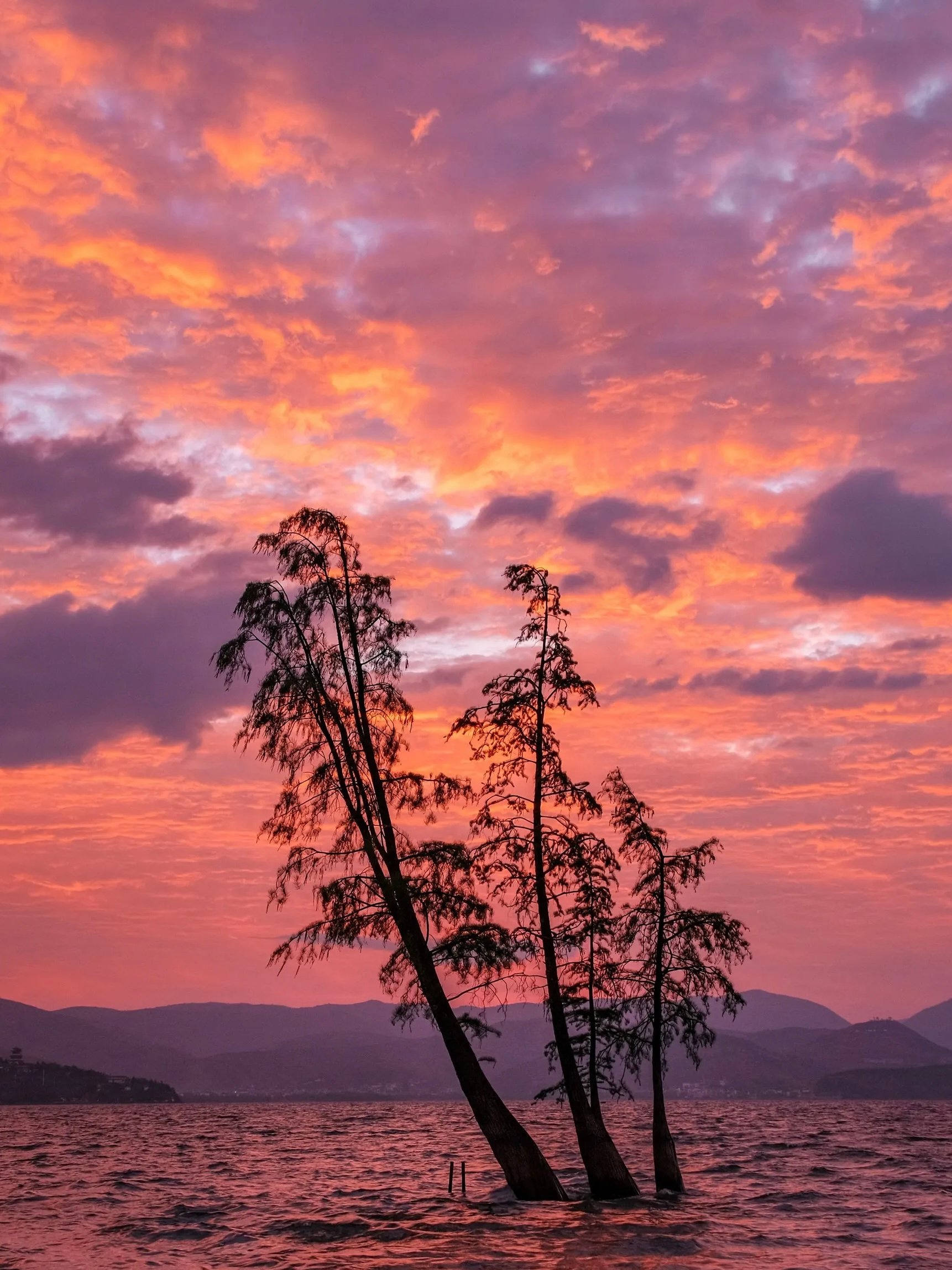 🌅 为了看龙龛的日出，我连续三天六点起床，最后看哭了