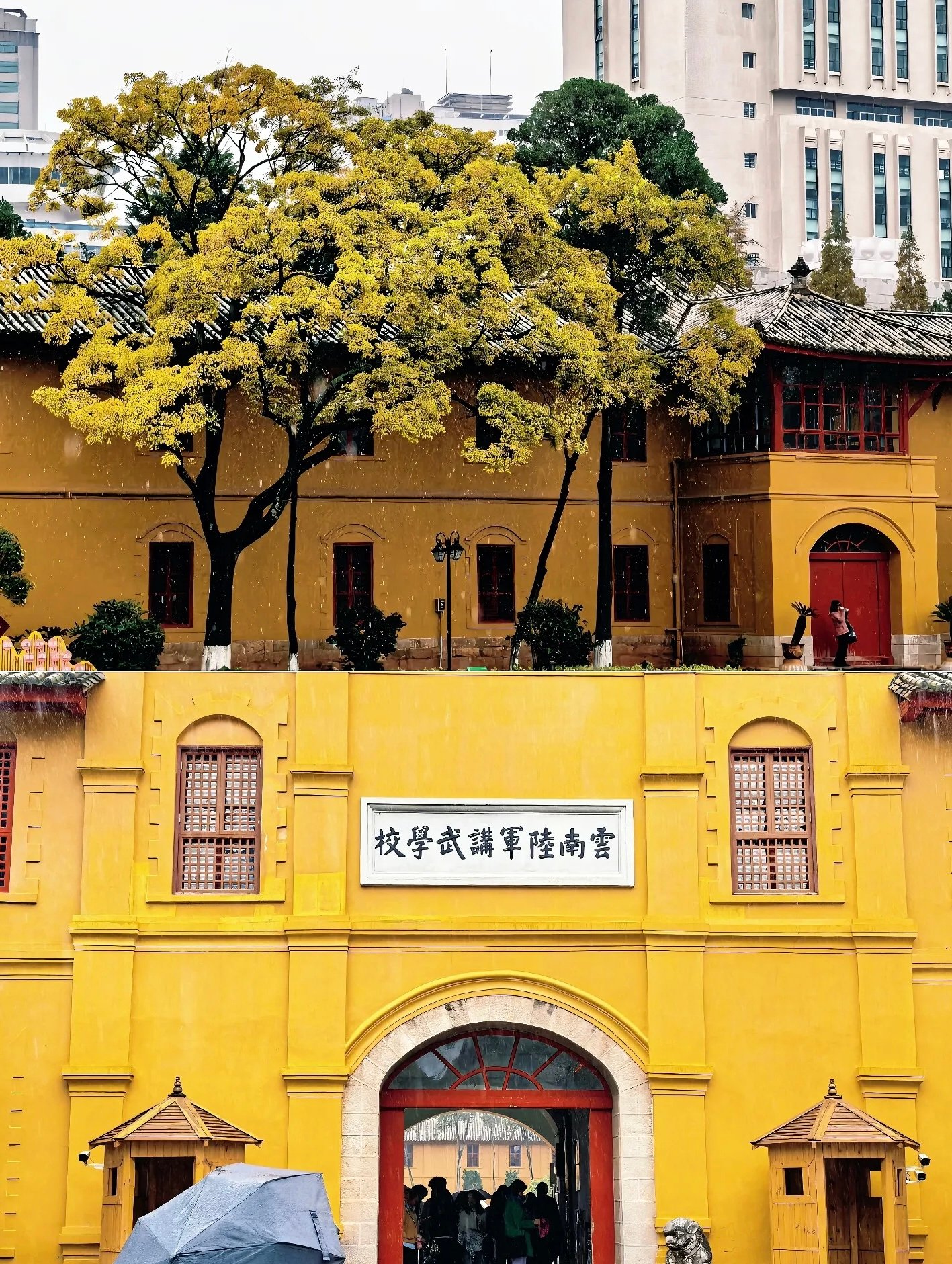 这座城市的眼睛，藏着昆明一年四季的温柔