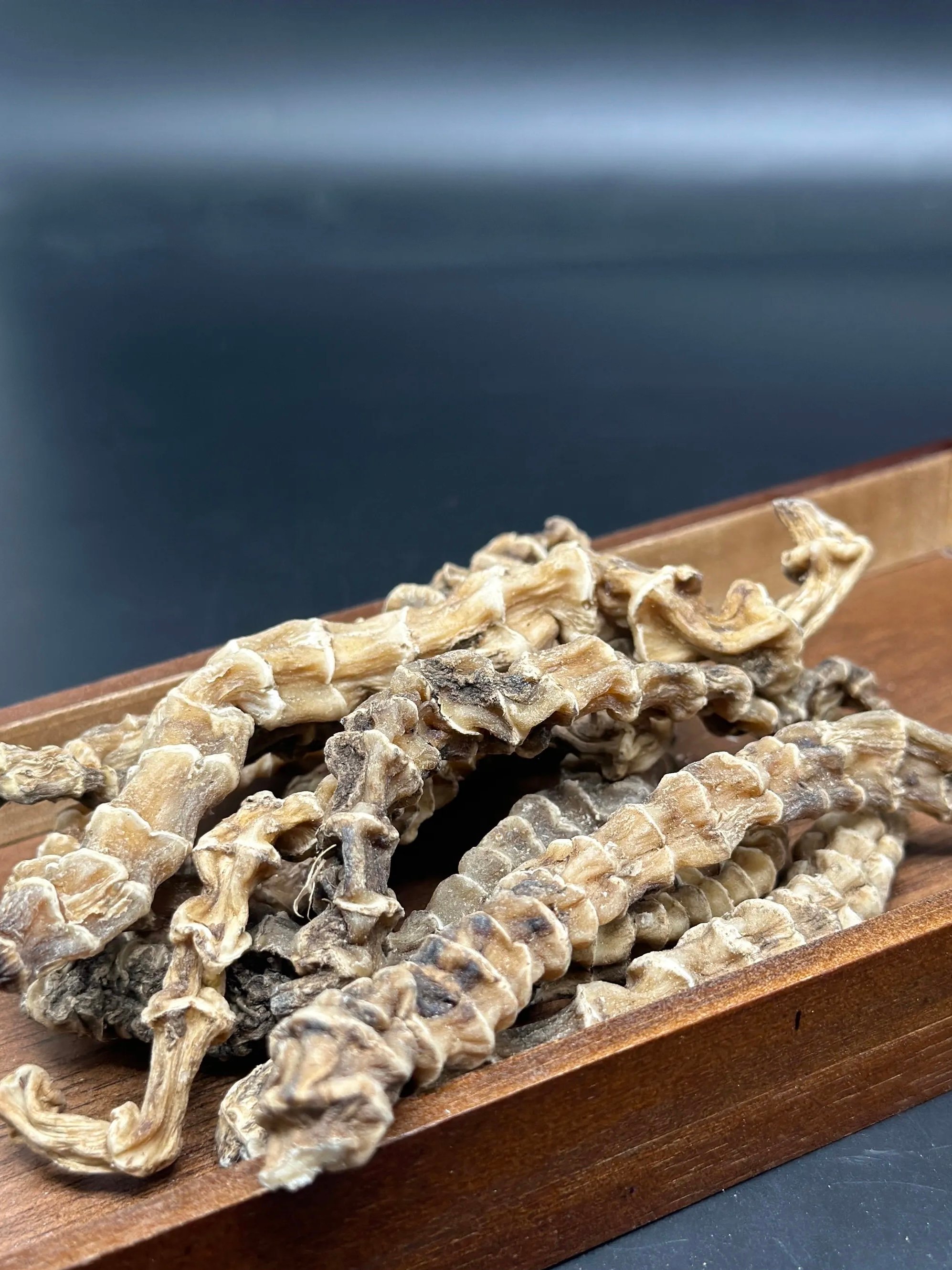 沙溪吃了个长得像虫子的东西，居然意外的好吃