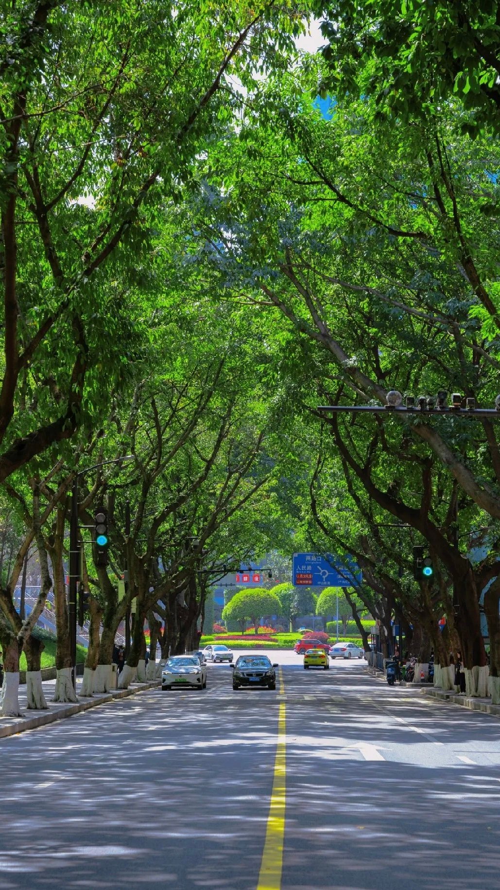重庆最美的街道！一条路，半部民国史，人少免费还特别有感觉
