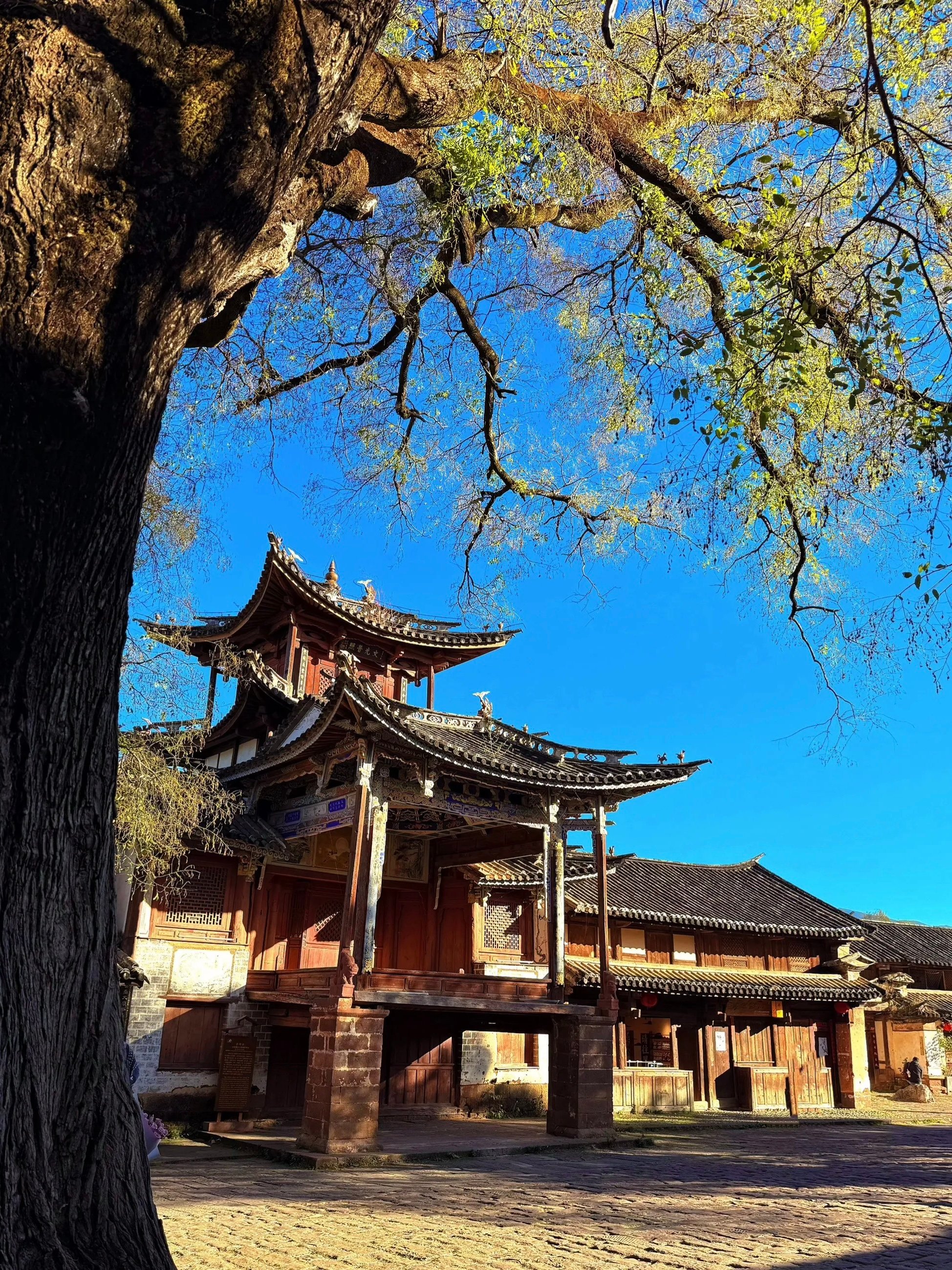 站在这里俯瞰整个沙溪坝子，才明白什么叫世外桃源