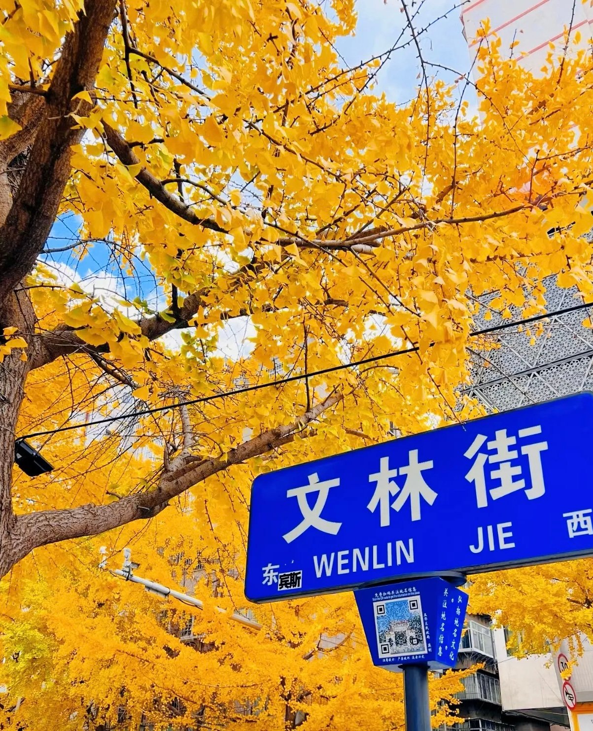 ☕ 在昆明，想要慢下来，就去文林街和文化巷走一走