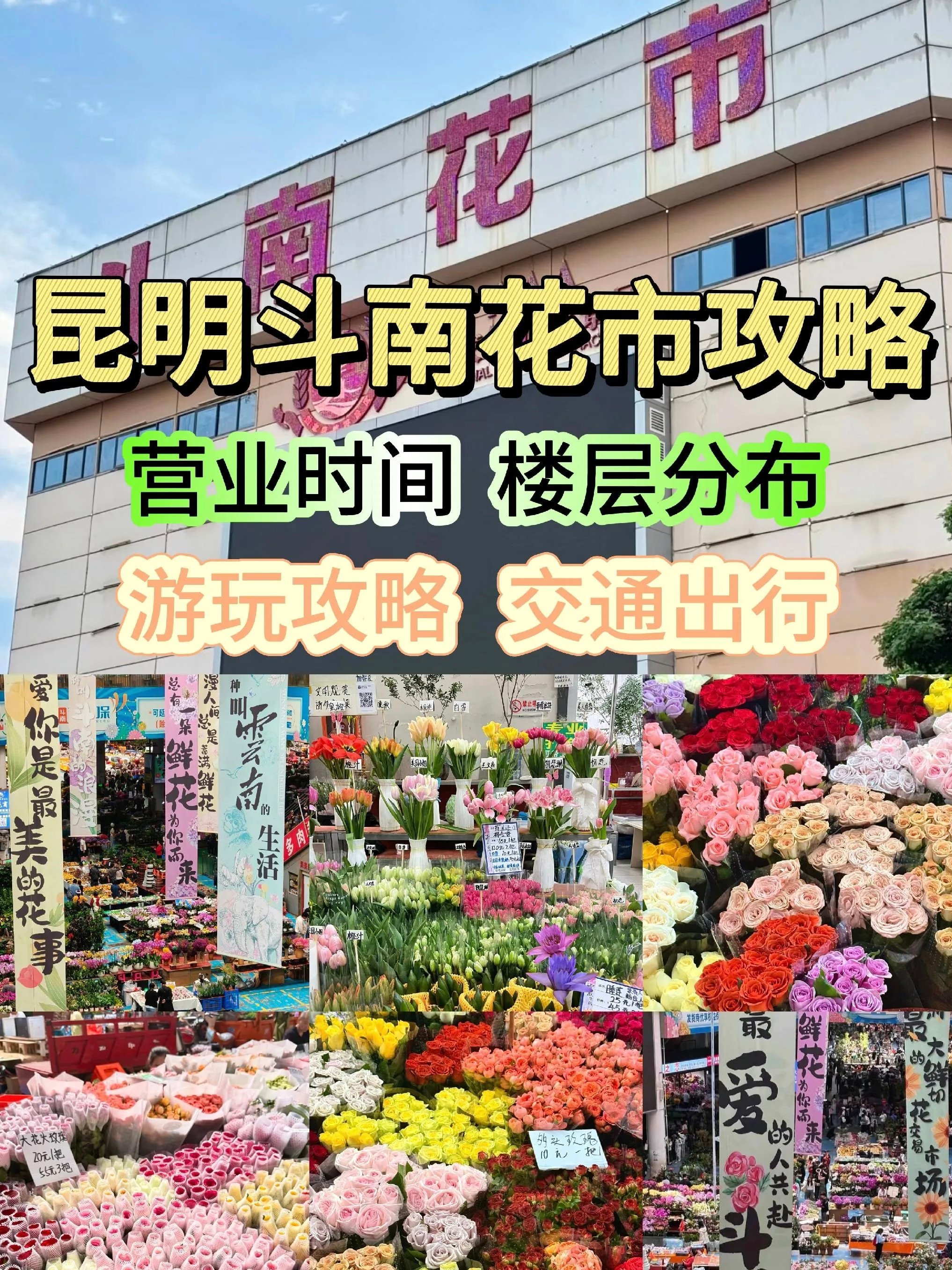 哪里是花市啊，这明明是昆明人的浪漫制造基地