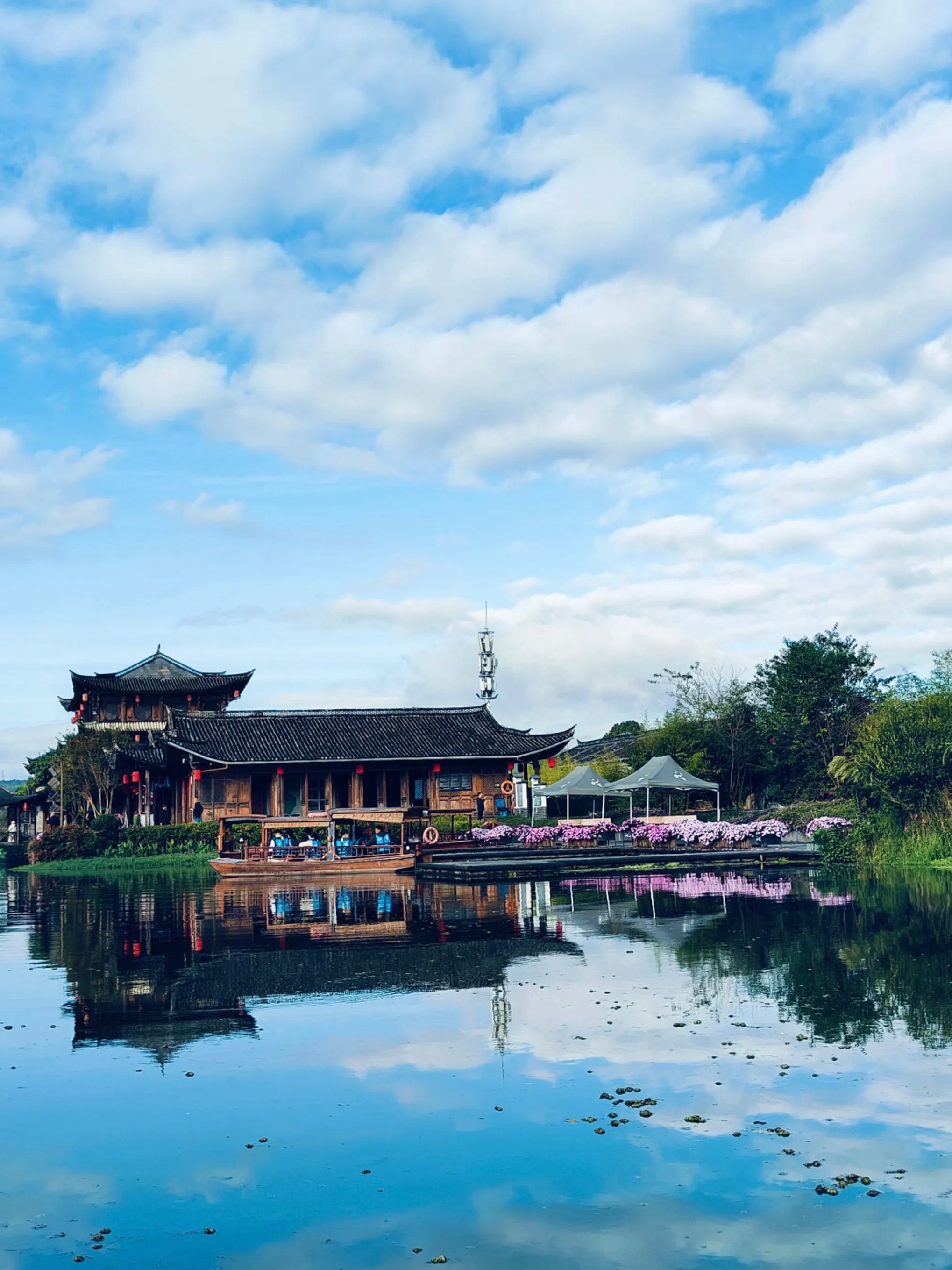 和顺古镇藏着的神仙湿地！清晨薄雾白鹭齐飞，美到窒息🦢