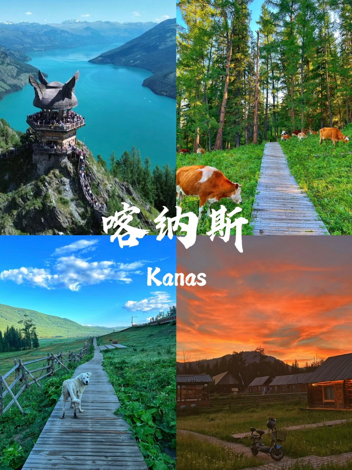 喀纳斯｜藏在北疆的人间仙境攻略