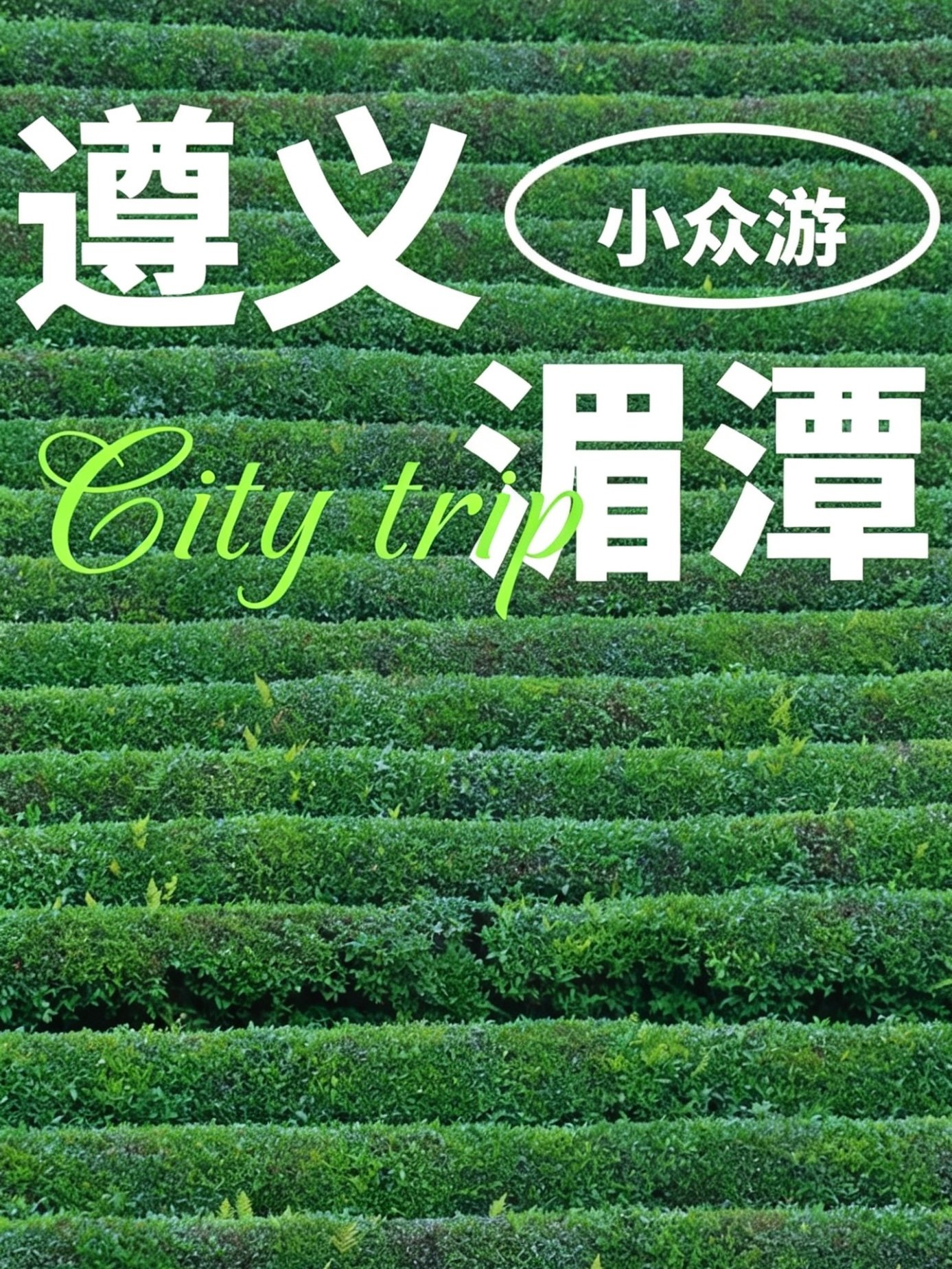 湄潭小众踏青｜中国茶海游玩攻略🍃