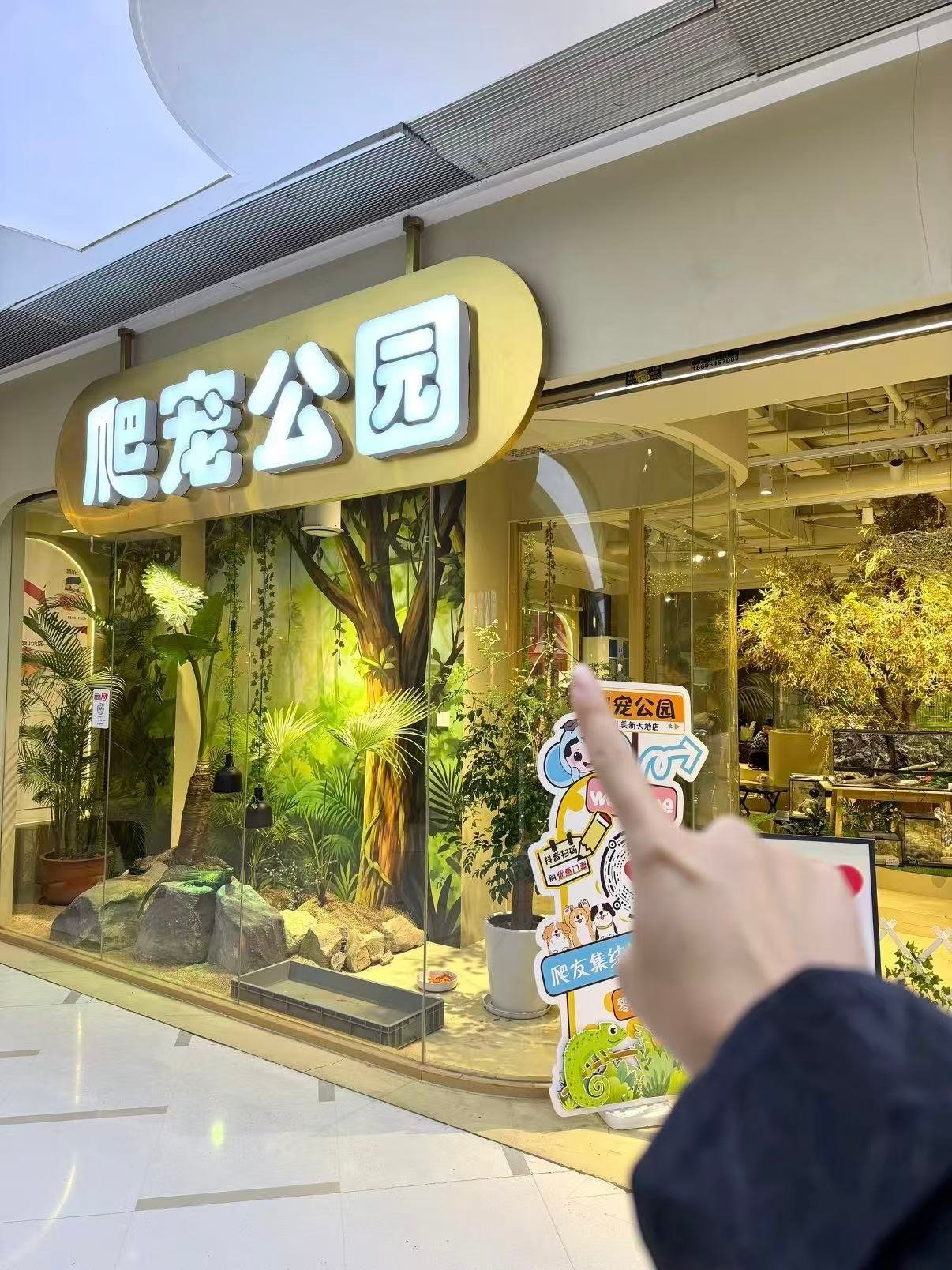 🦎 爬宠公园｜太原超治愈的异宠互动馆