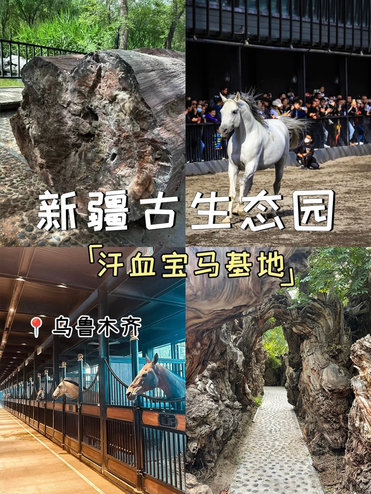 🐎 新疆古生态园｜藏在乌鲁木齐的西域秘境