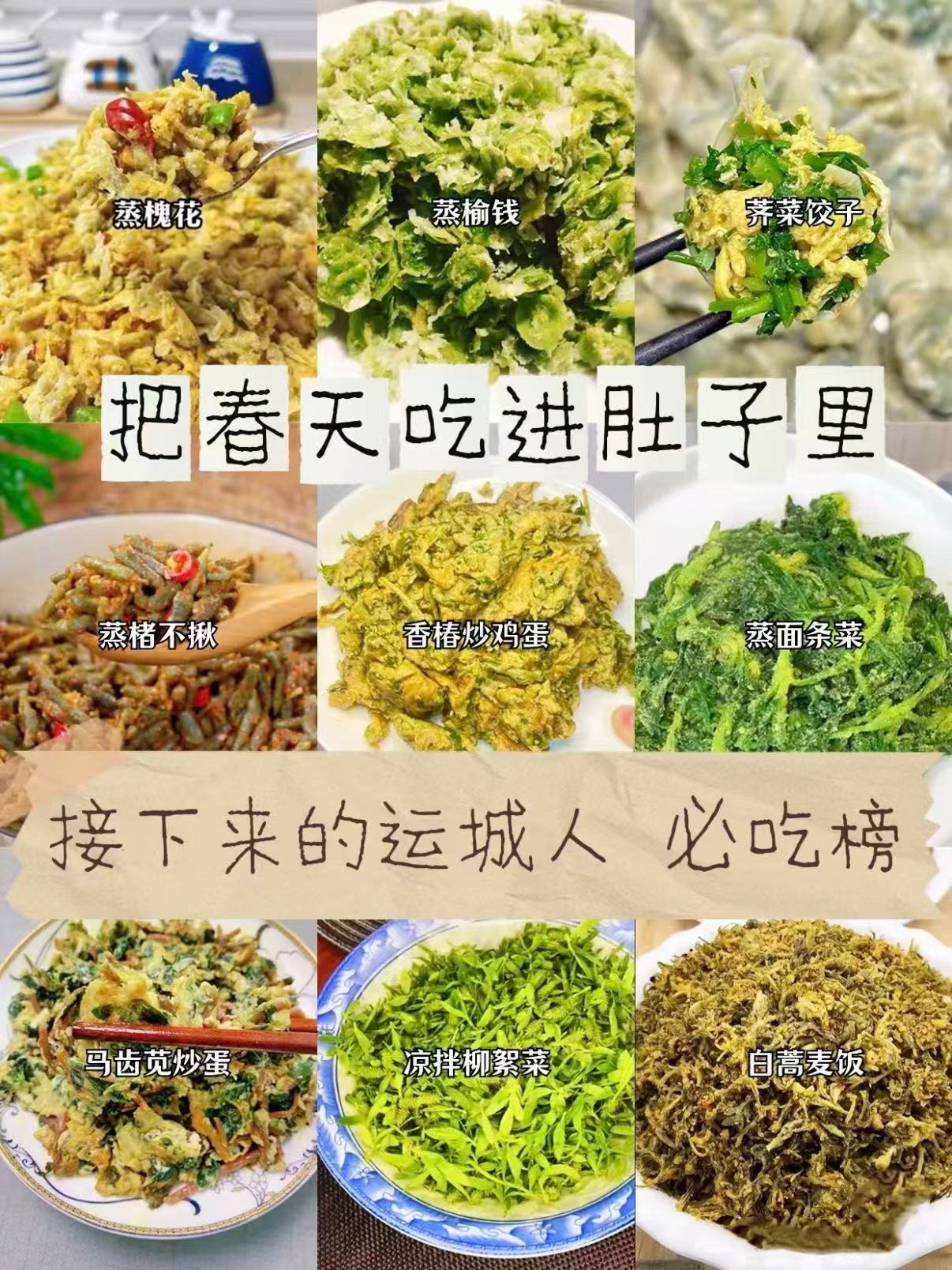 运城春日野菜美食合集🌿｜把整个春天吃进餐桌