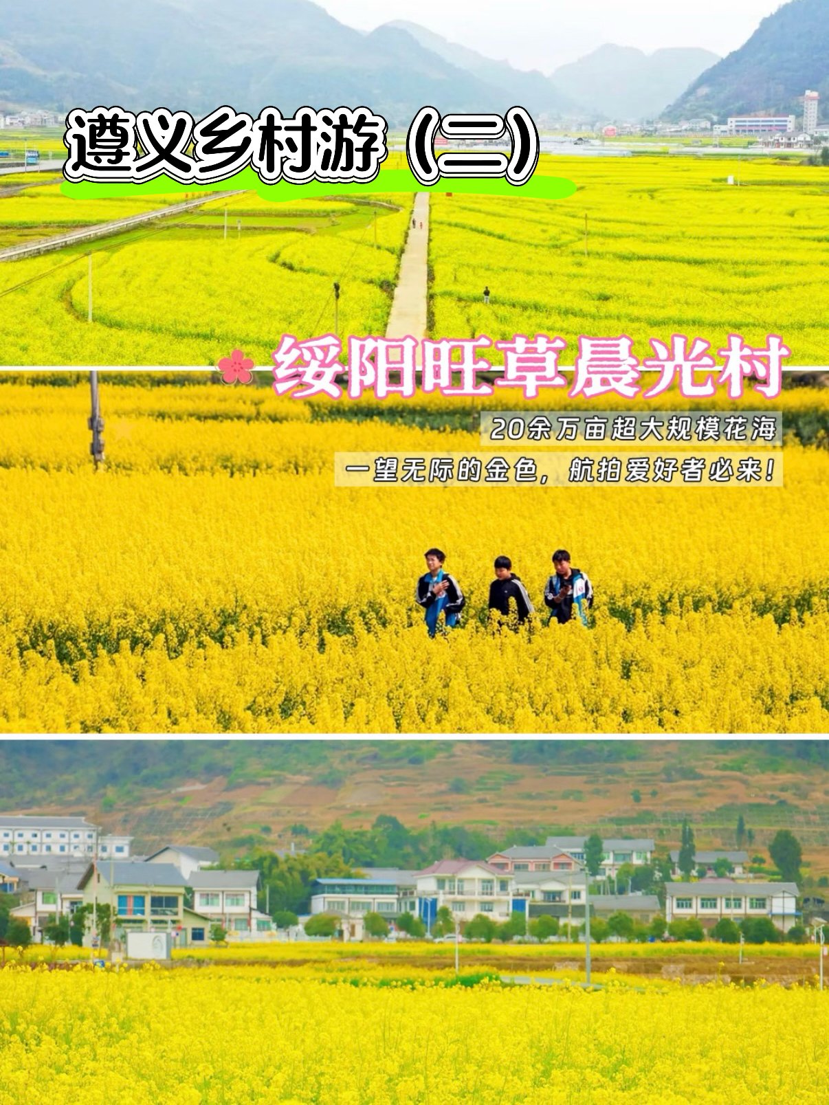 遵义乡村游（二）｜绥阳旺草晨光村🌼漫入 20 万亩金色油菜花海