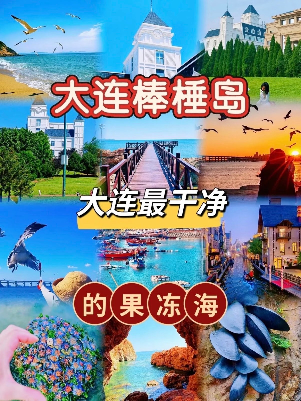 大连棒棰岛完整游玩攻略🌊