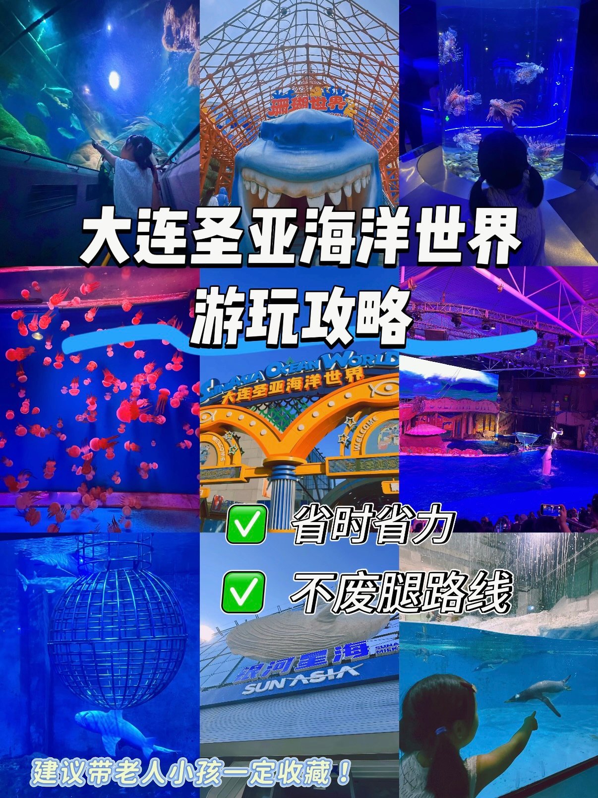 大连圣亚海洋世界游玩全攻略🌊