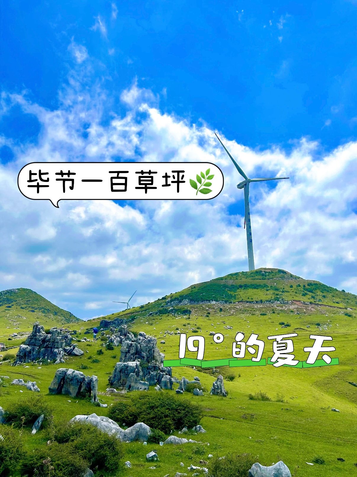 🌿 毕节百草坪｜19℃的高原夏日秘境