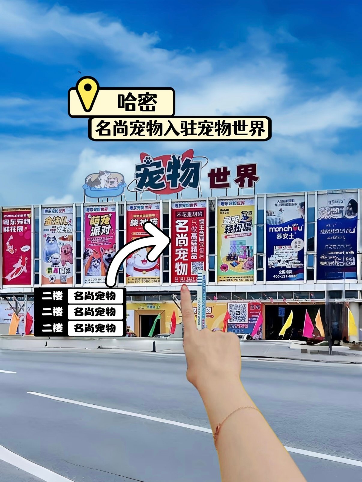 📍哈密宠主必看｜名尚宠物新店入驻，铲屎官的快乐星球来了