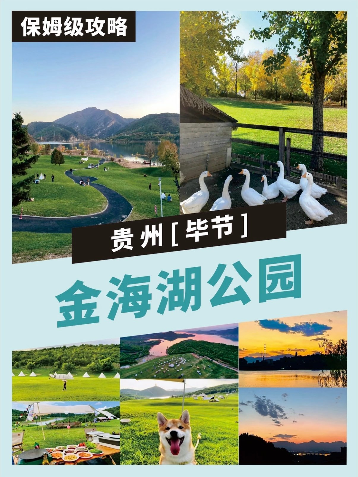 🌿 毕节金海湖公园｜城市里的露营天花板✨毕节人的私藏宝藏公