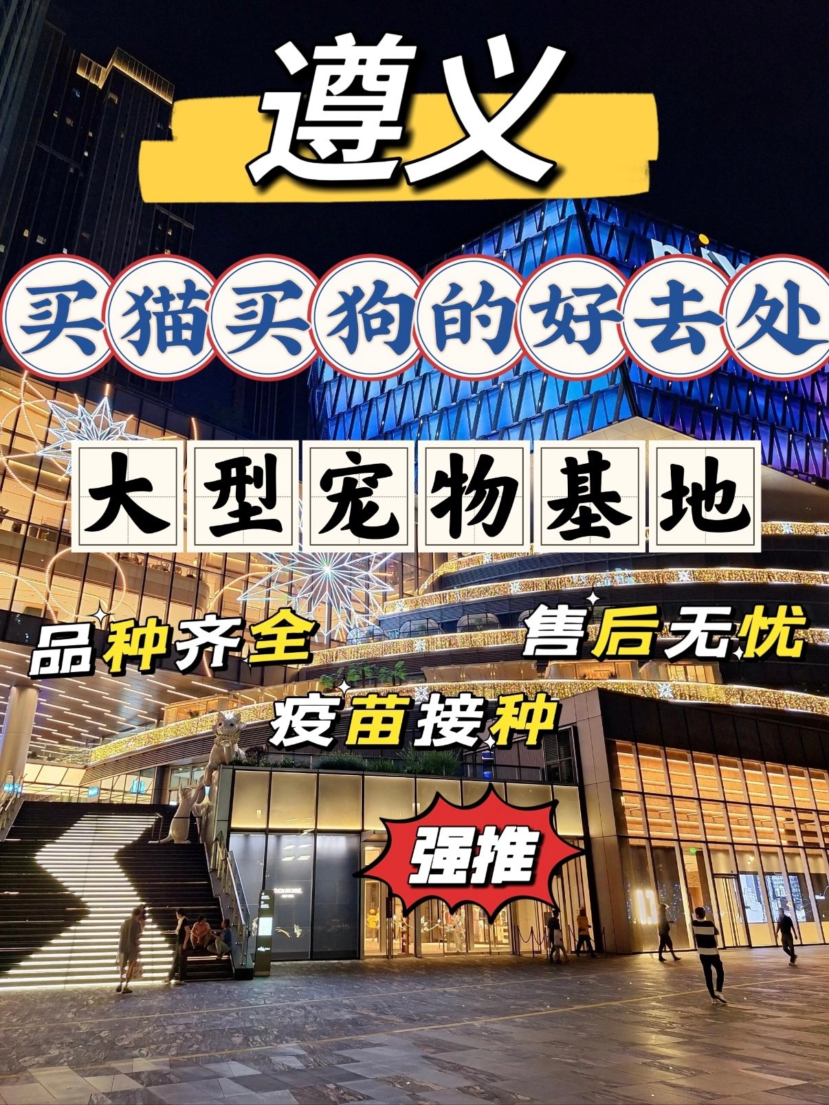 遵义大型宠物繁育基地｜购宠全攻略🐱🐶