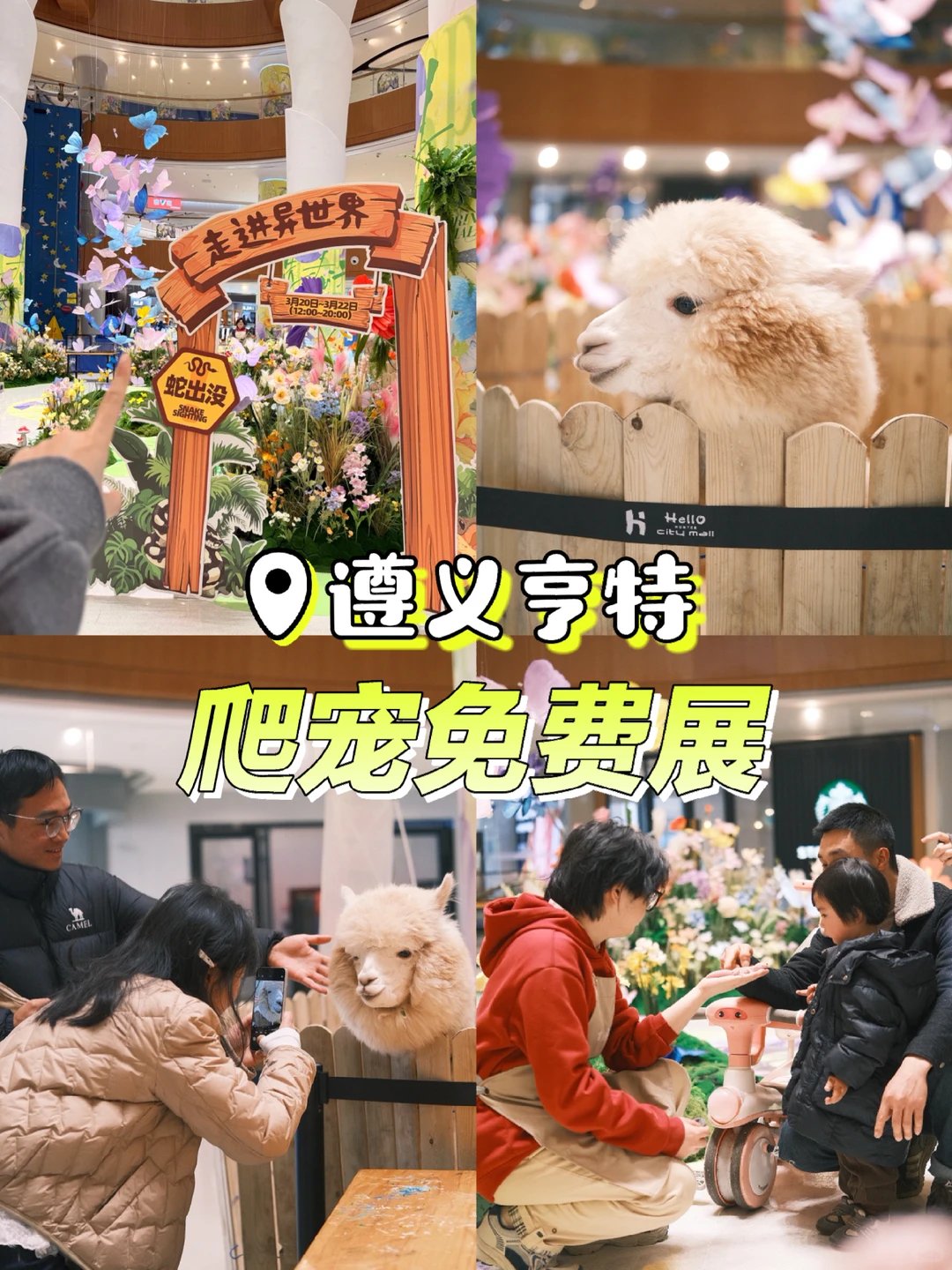 亨特 City Mall｜免费室内爬宠萌宠展攻略🦎🐑