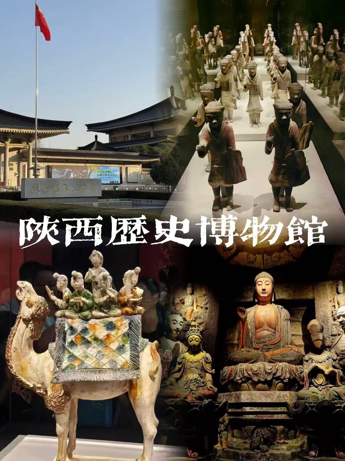 陕西历史博物馆完整参观攻略📜