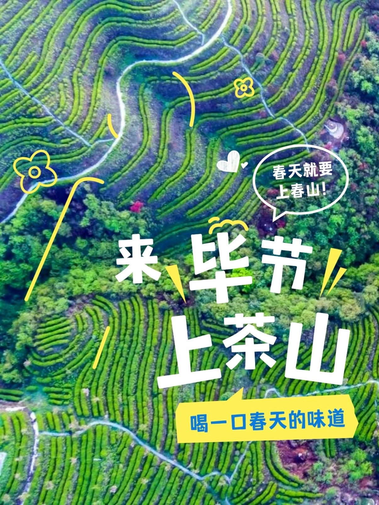 🍵 毕节茶山地图｜喝一口春天的味道
