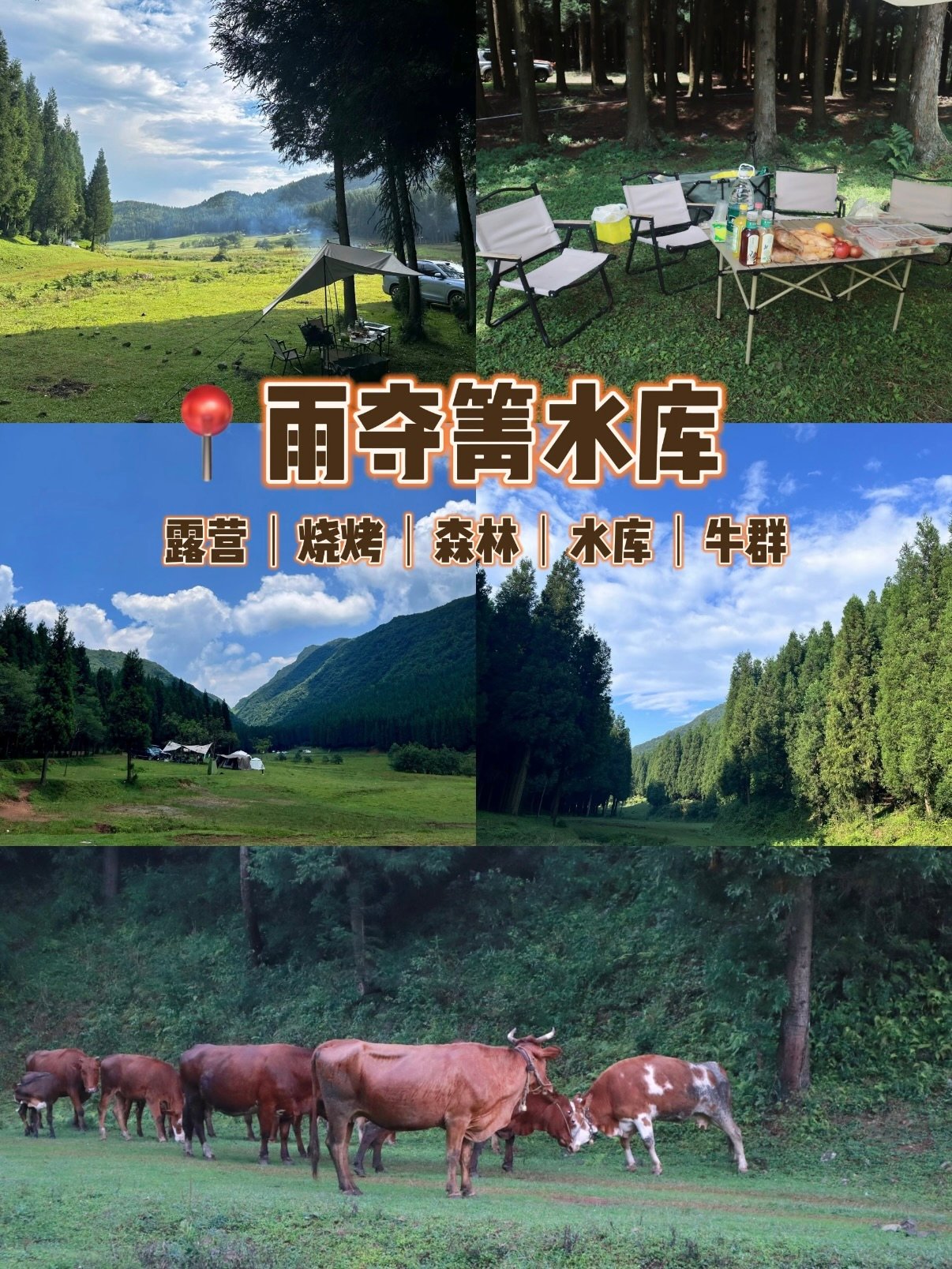 🌲 六盘水雨夺箐水库｜藏在森林里的露营秘境✨