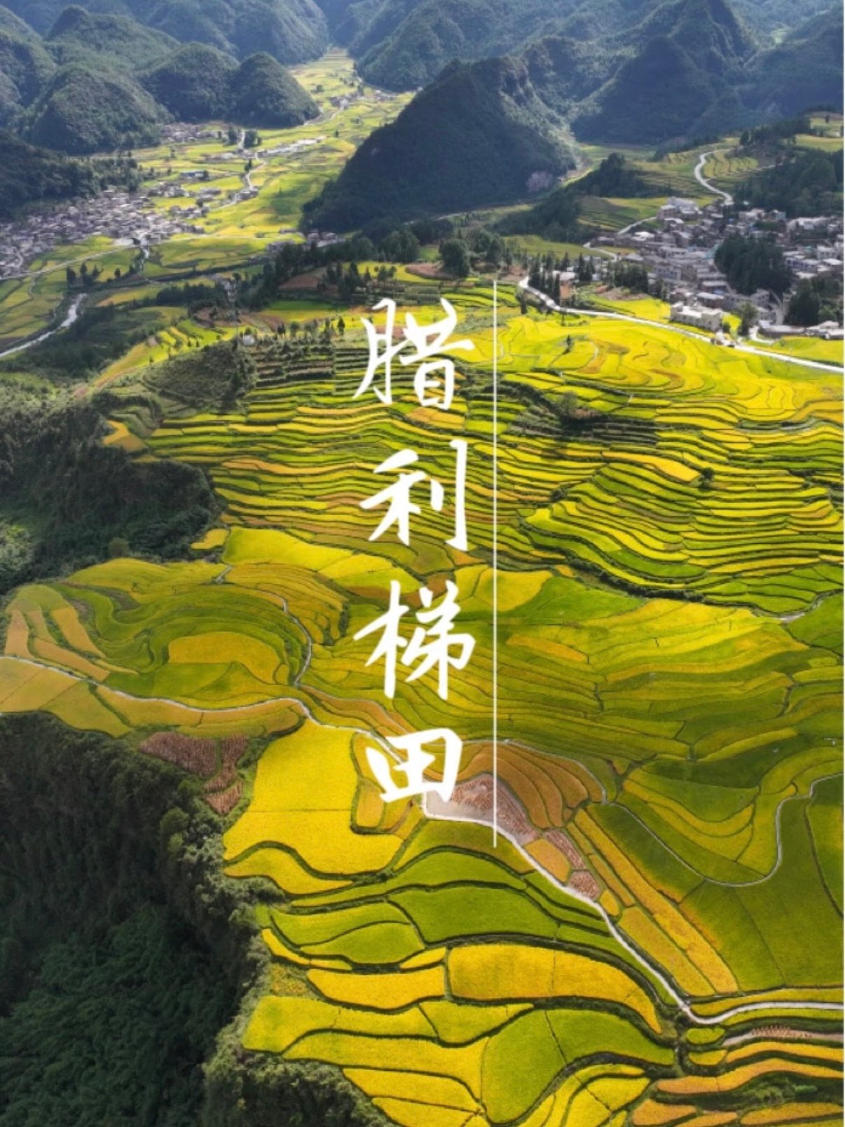 🌾 六盘水腊利梯田｜藏在凉都的大地调色盘✨