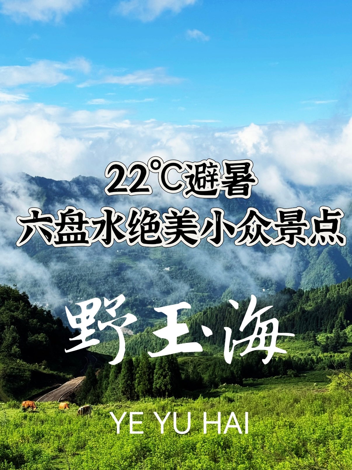 🌿 六盘水野玉海｜22℃的夏天藏着治愈系秘境✨