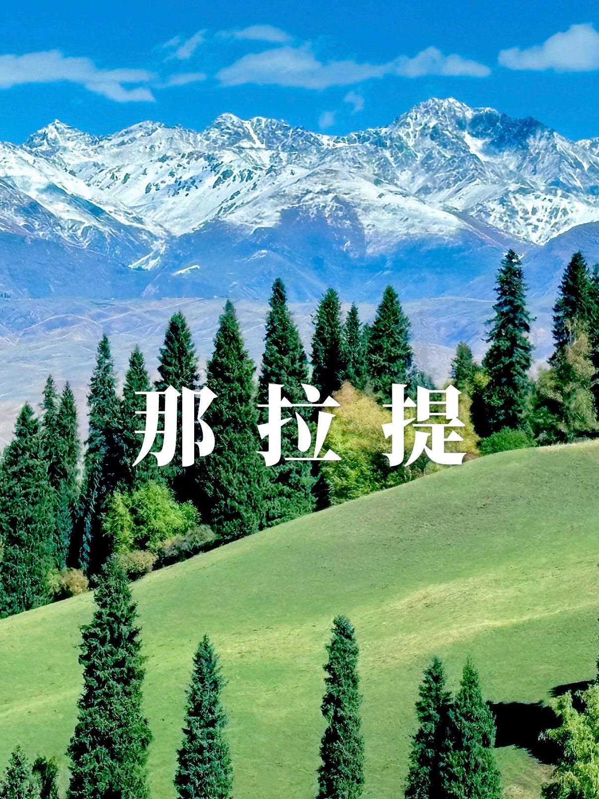 那拉提｜空中草原的治愈之旅