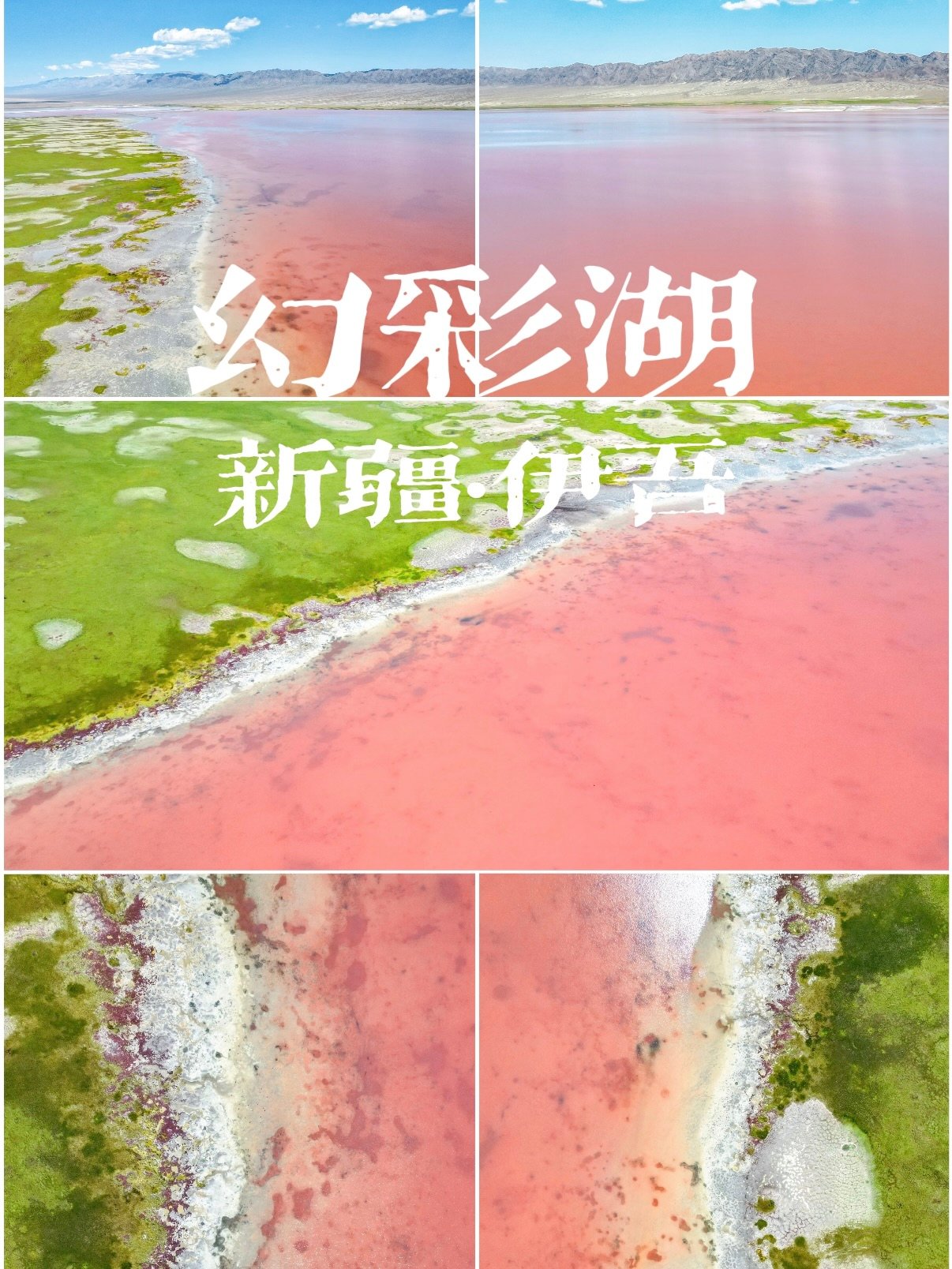 🌷 新疆伊吾幻彩湖｜会变魔术的粉色盐湖，把浪漫焊在新疆✨