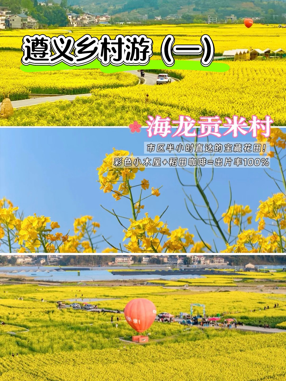 遵义乡村游｜半小时奔赴田园理想・海龙贡米村🌼🌾