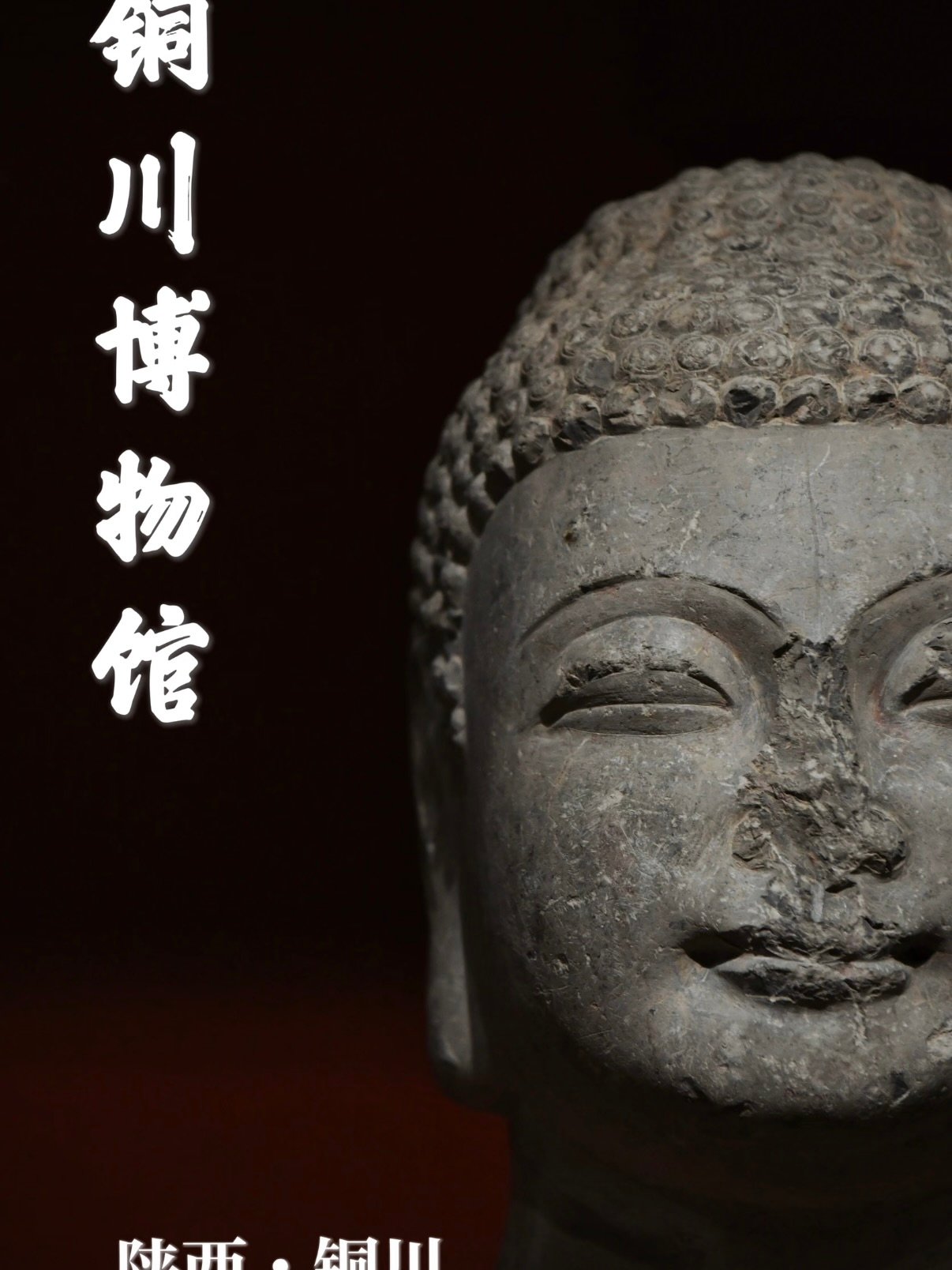 铜川博物馆游览指南🏛️🪨