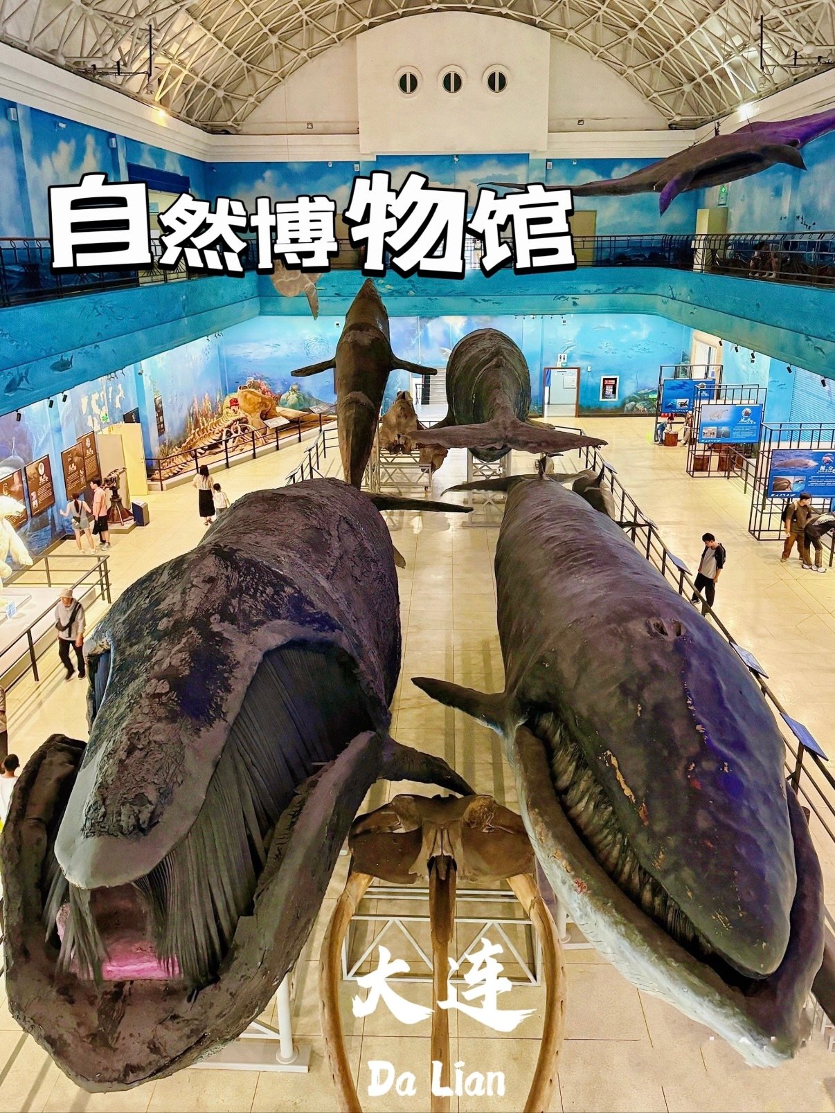 大连自然博物馆完整参观攻略🦭