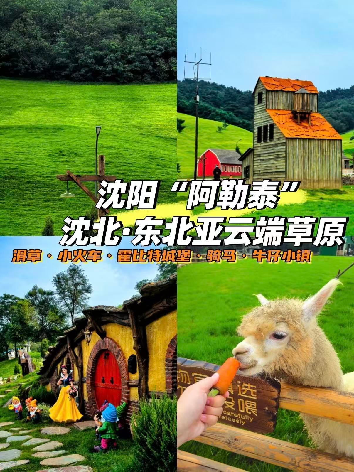 沈阳东北亚云端草原游玩攻略🌿
