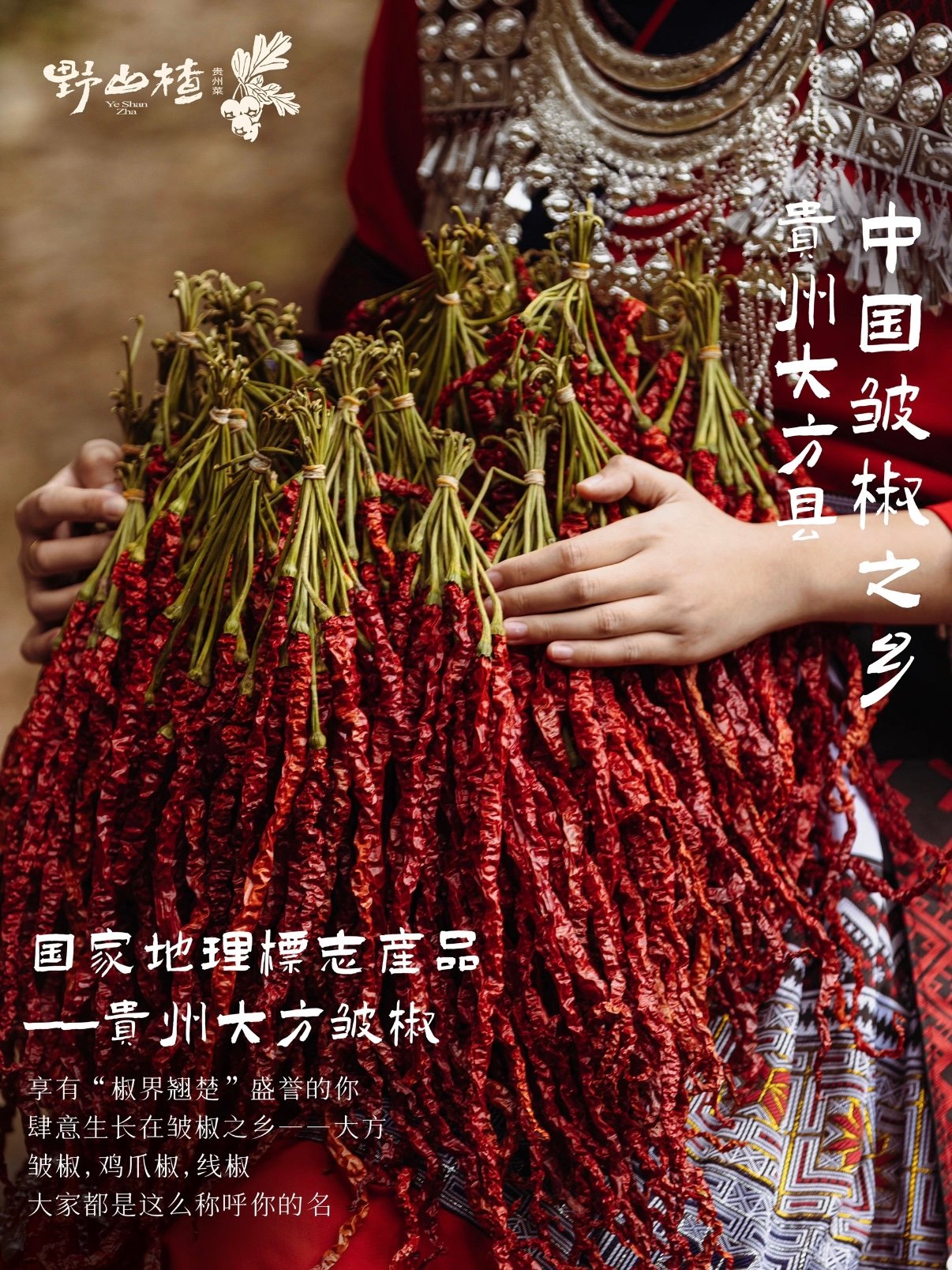 贵州大方皱椒｜国家地理标志辣椒科普✨
