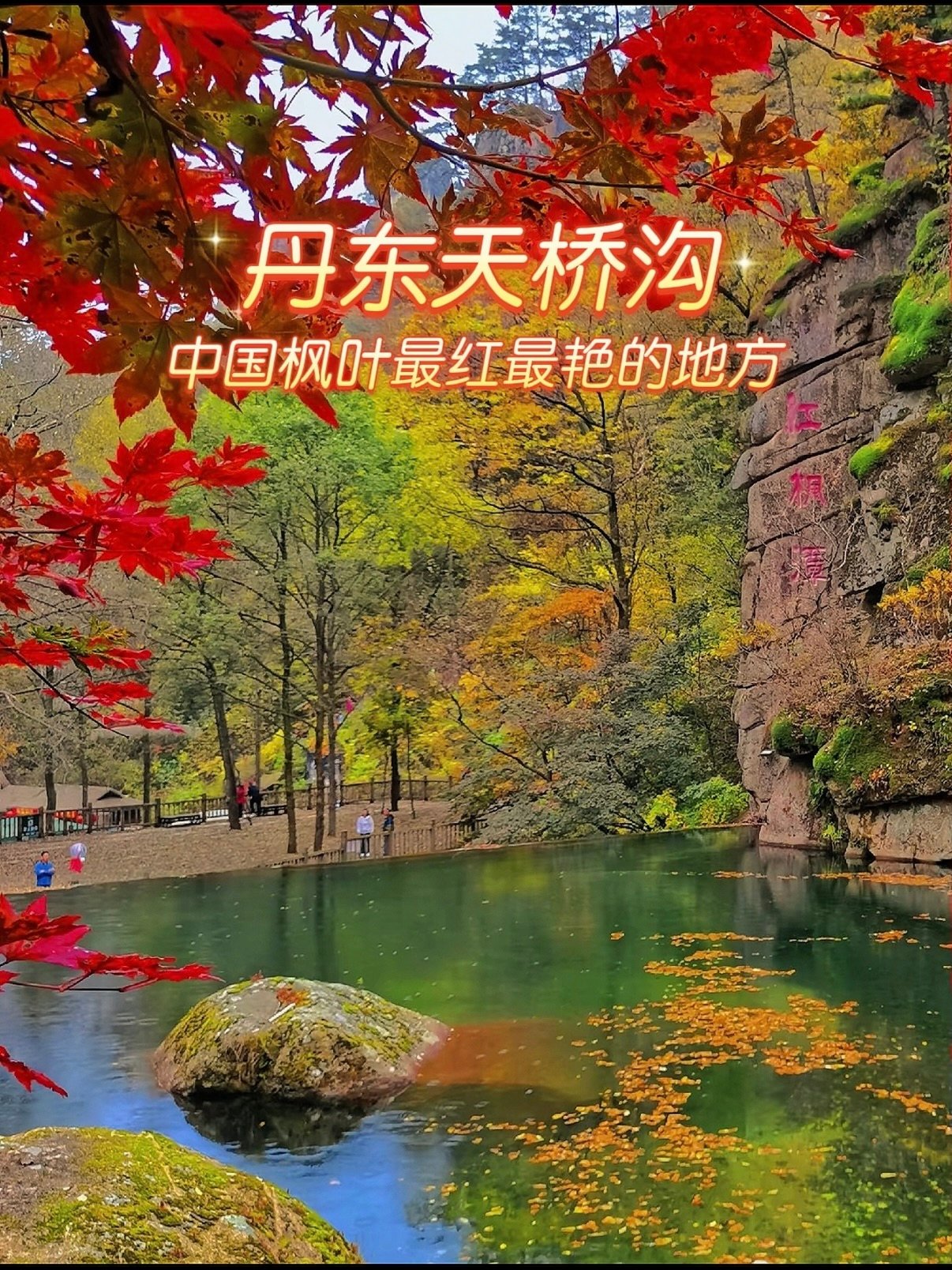 丹东天桥沟｜秋日枫叶秘境沉浸式赏枫攻略🍁