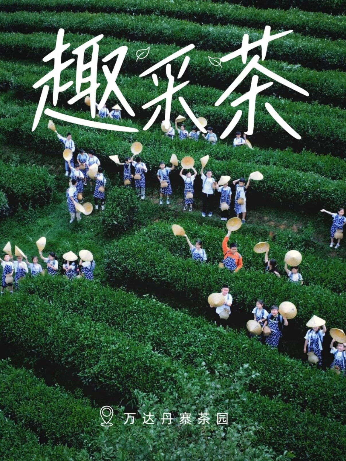 丹寨万达茶园｜亲子采茶研学攻略🍃