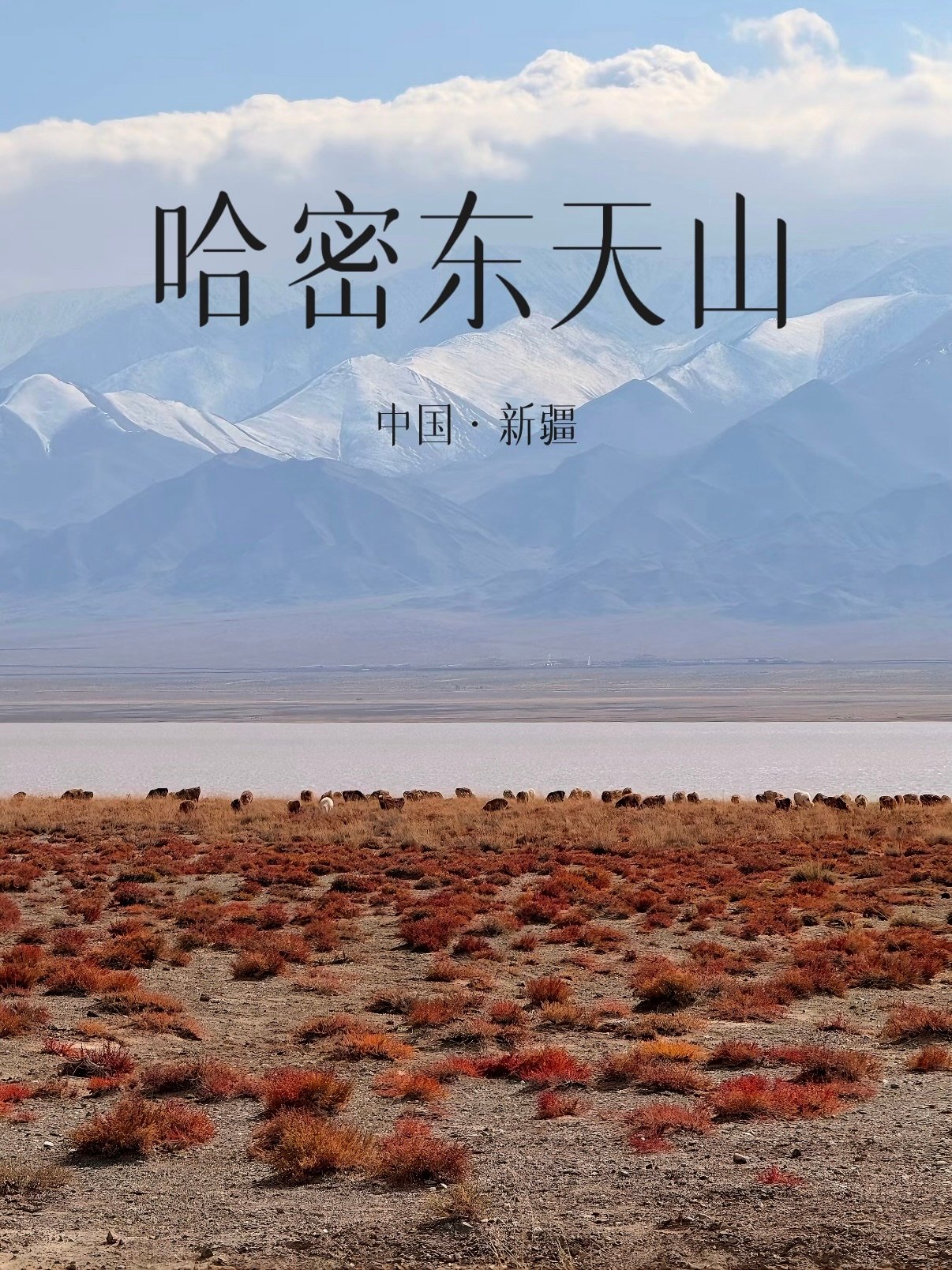 🏔️ 哈密东天山｜一日看尽四季的童话秘境✨