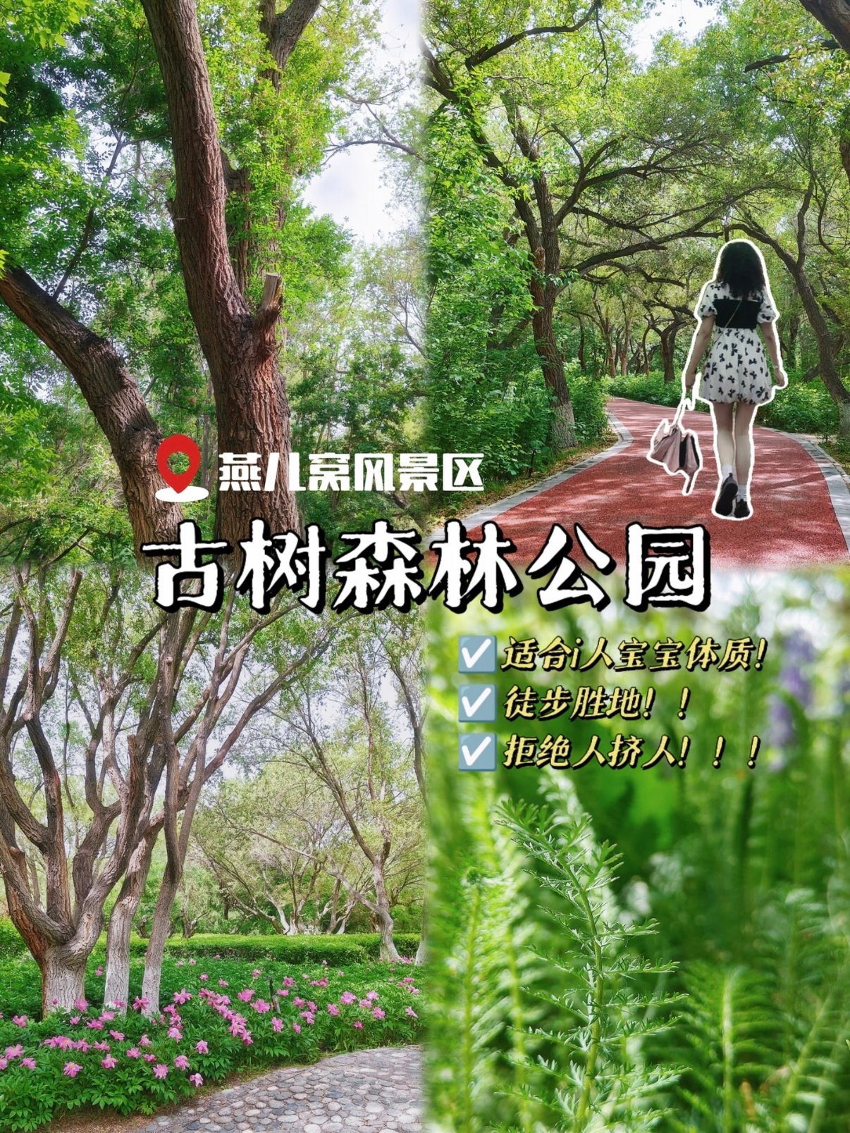 🌳 燕儿窝古树森林公园｜乌鲁木齐小众徒步秘境